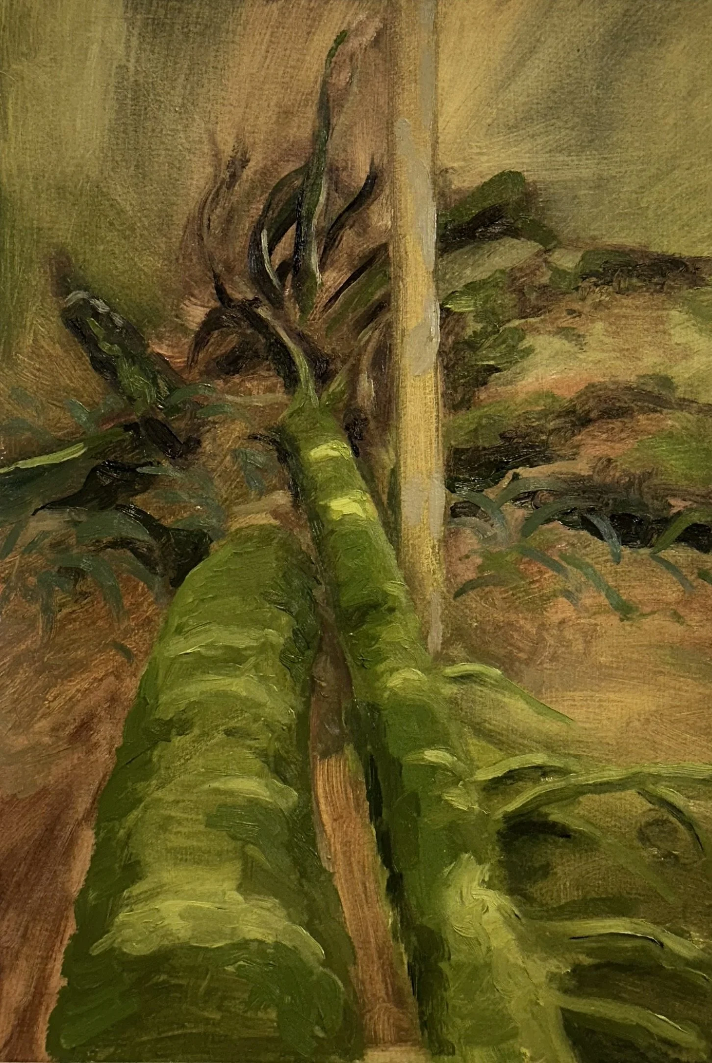 Mossy Fallen Trees (Stimpson) // 7"x10 1/2" // Oil on Paper // February 28th, 2026