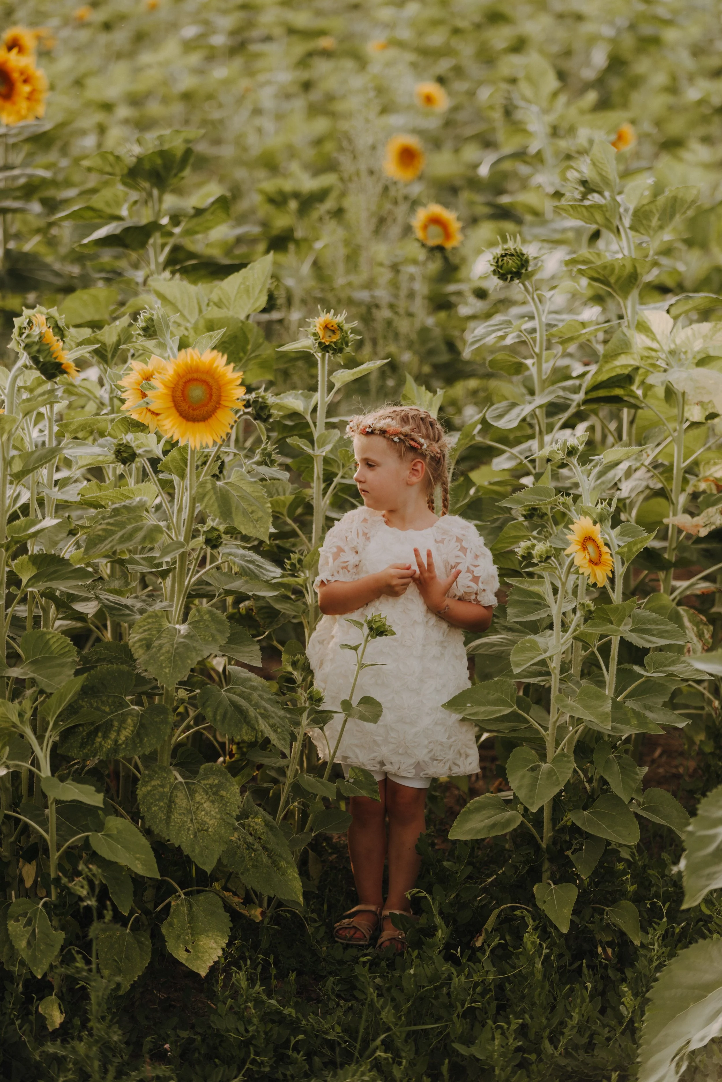 Ein weiß gekleidetes Mädchen mit geflochtenen Haaren steht zwischen Sonnenblumen in einem Feld und schaut nach rechts.