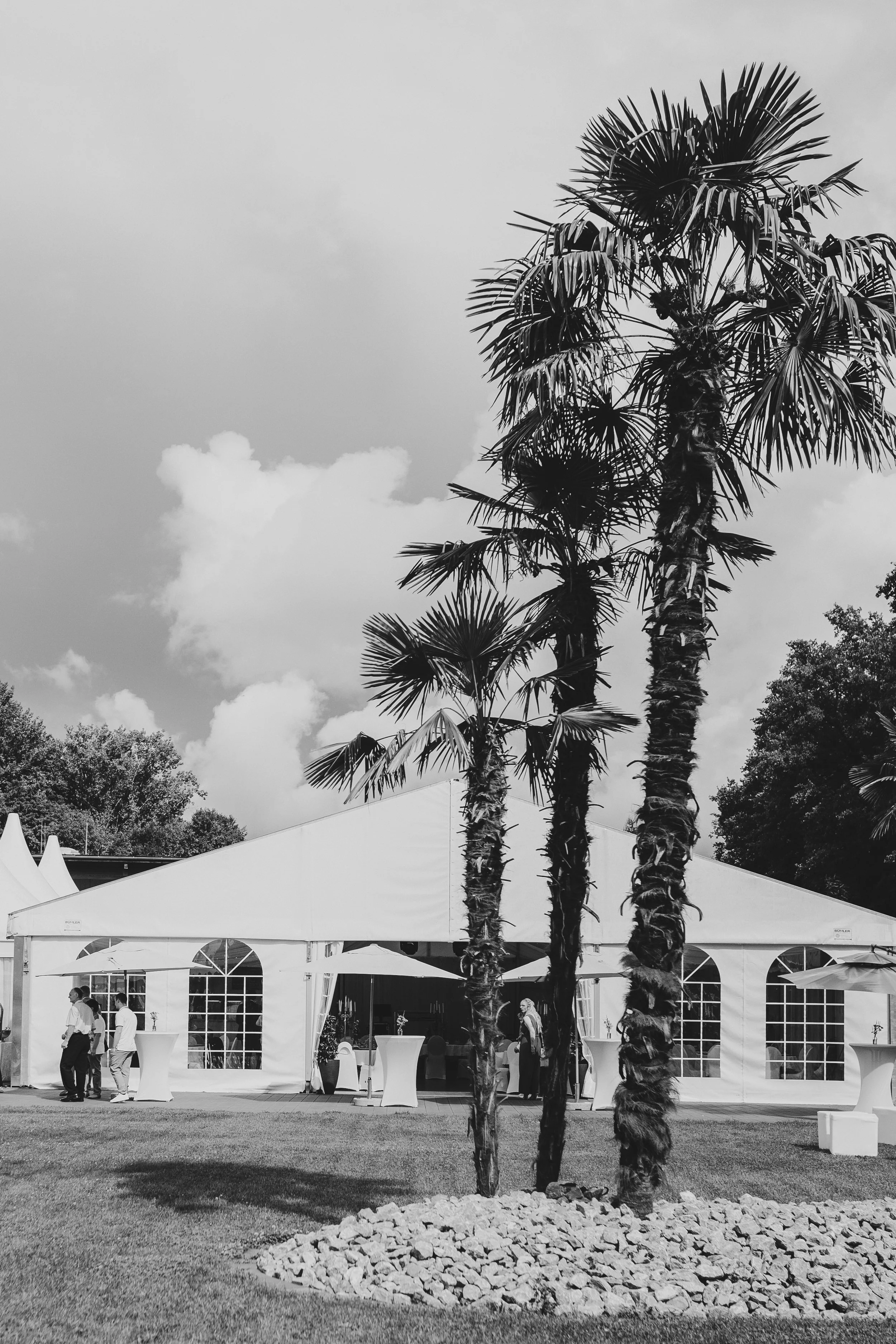Schwarz-weiß-Foto eines Zeltes mit großen Fenstern, im Vordergrund drei Palmen, zwei aufrecht, eine schräg, auf einer Rasenfläche mit Steinen. Zwei Personen stehen und zwei gehen in der Nähe des Zeltes, einige Stehtische mit weißen Tüchern.