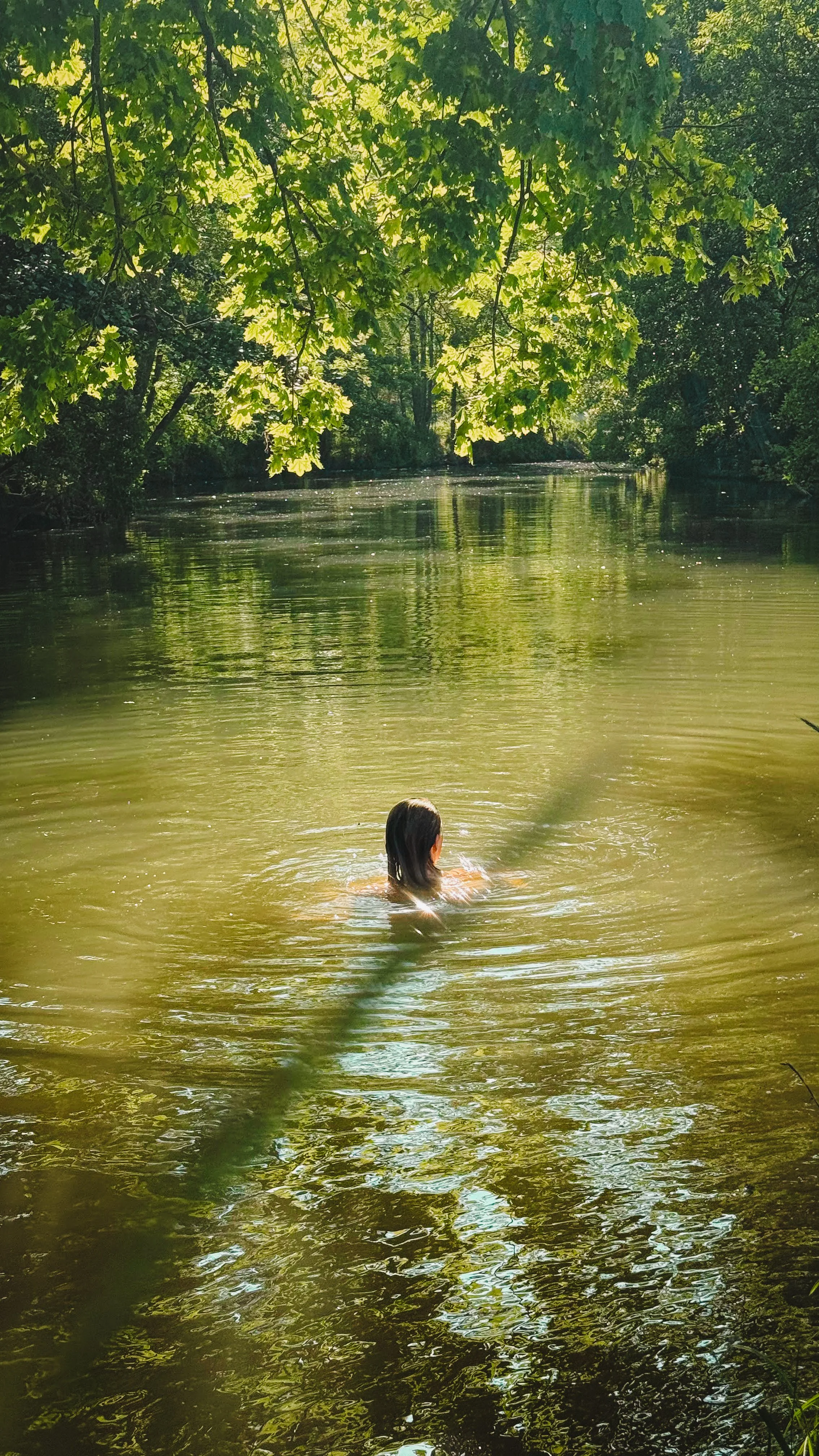 Eine Person schwimmt in einem ruhigen Fluss unter grünen Baumkronen, Sonnenlicht s Bayer Wald.