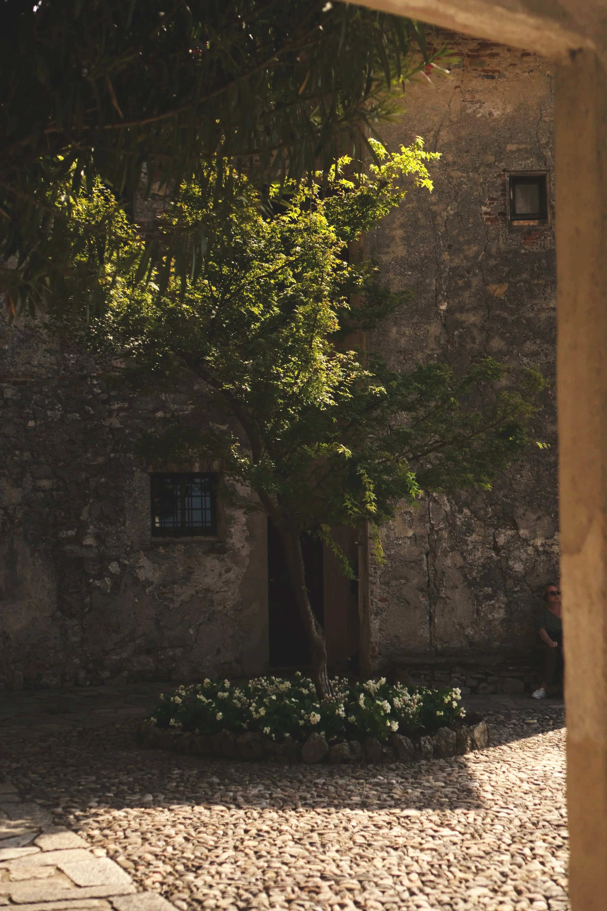 Ein alter, rauer Steinwall mit kleinen Fenstern und einer Tür, im Vordergrund ein Baum mit grünen Blättern und weißen Blumen im Beet, Sonnenschein wirft Schatten auf den gepflasterten Boden, eine Person sitzt im Hintergrund an der Wand.