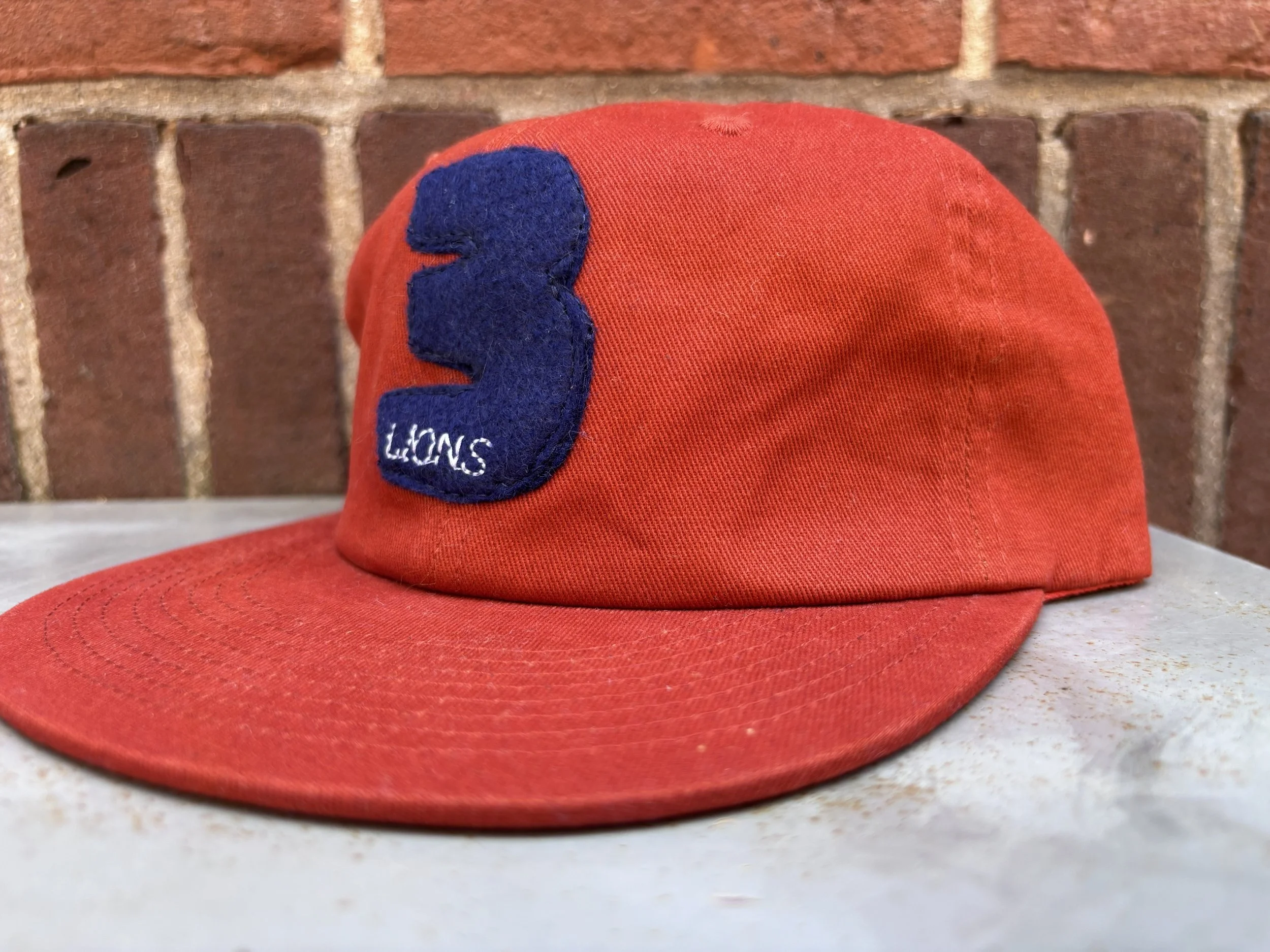 3 lions red side.jpg