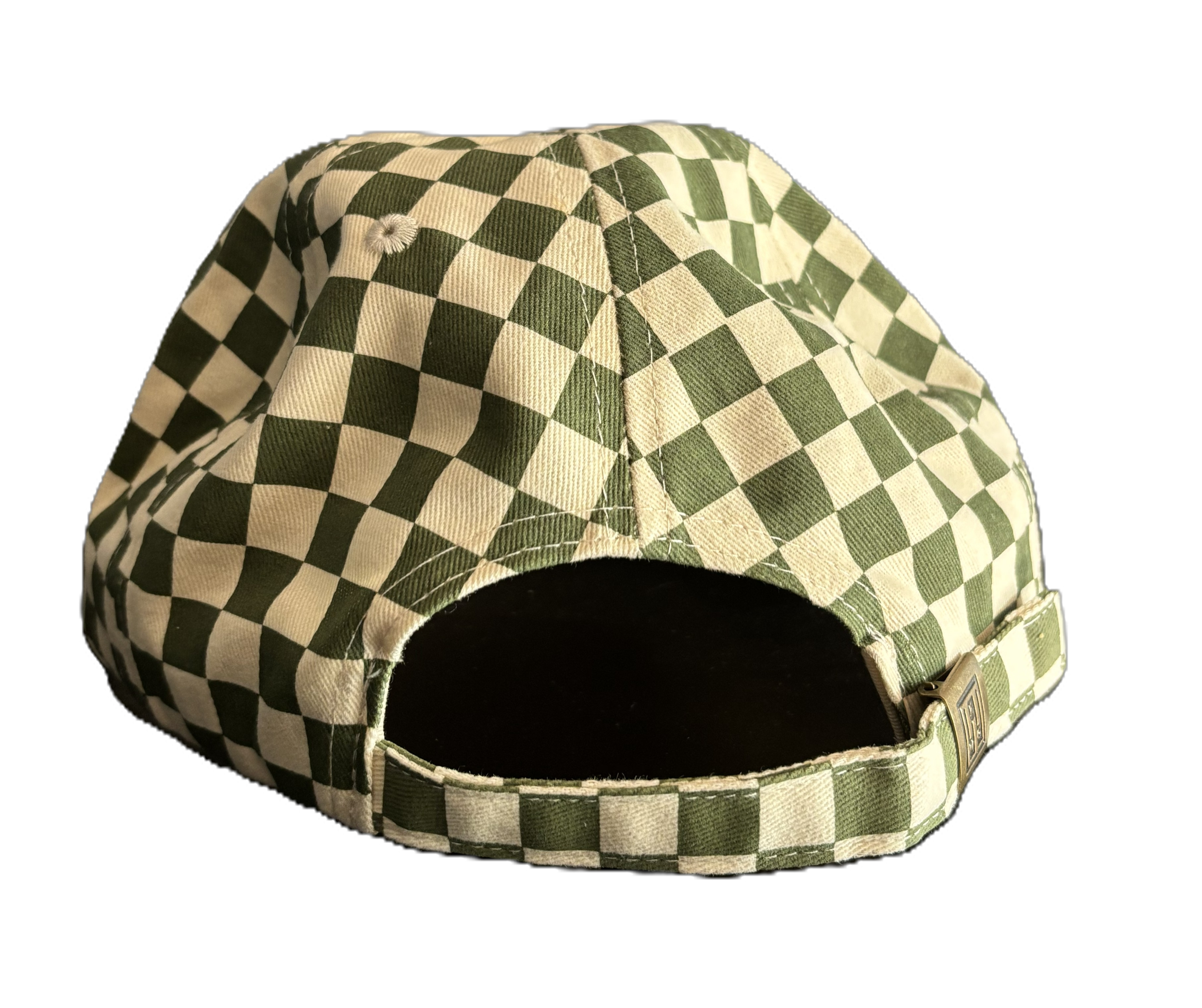 Mexico Party Hat (no background - back).PNG