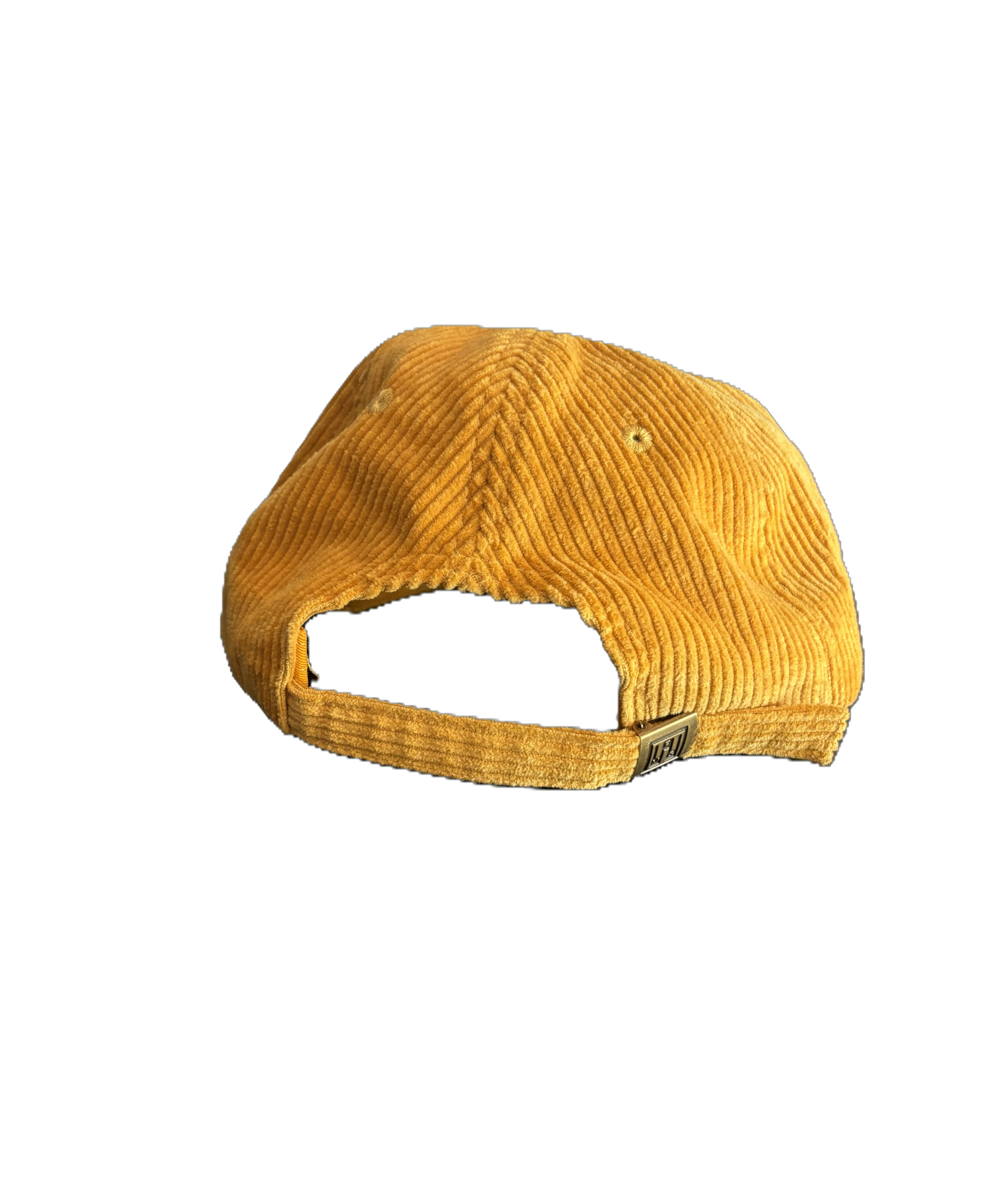 Sweden back (background removed).PNG