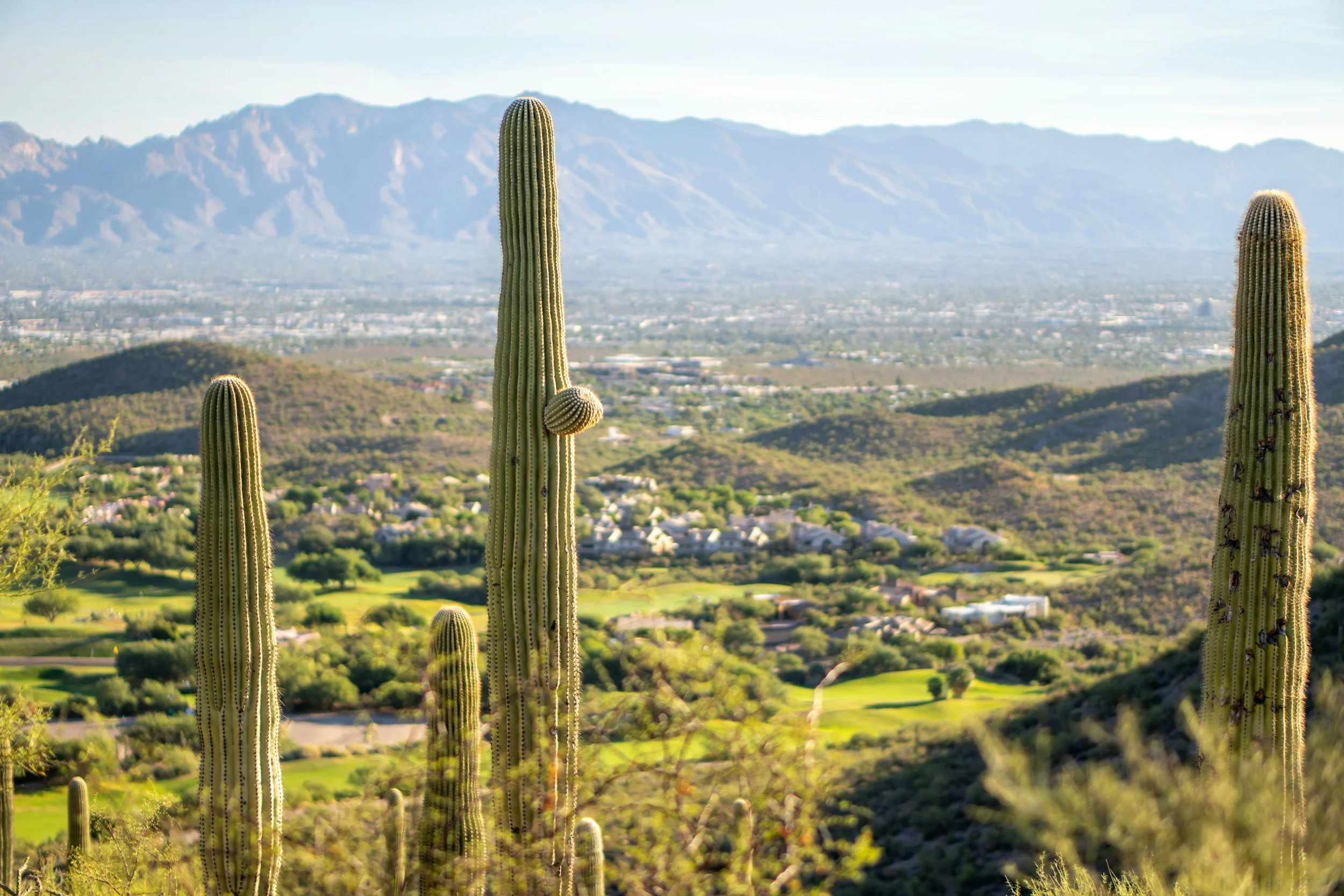 Top Reasons Retirees Choose Arizona