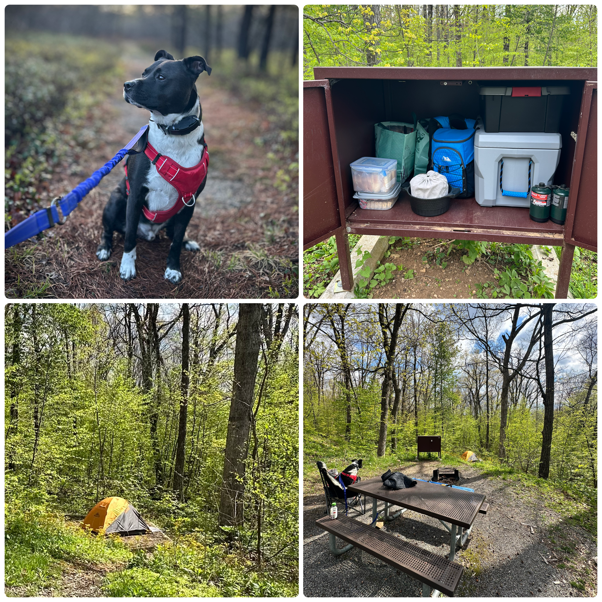 A Day on the Road: From Hazleton to Shenandoah