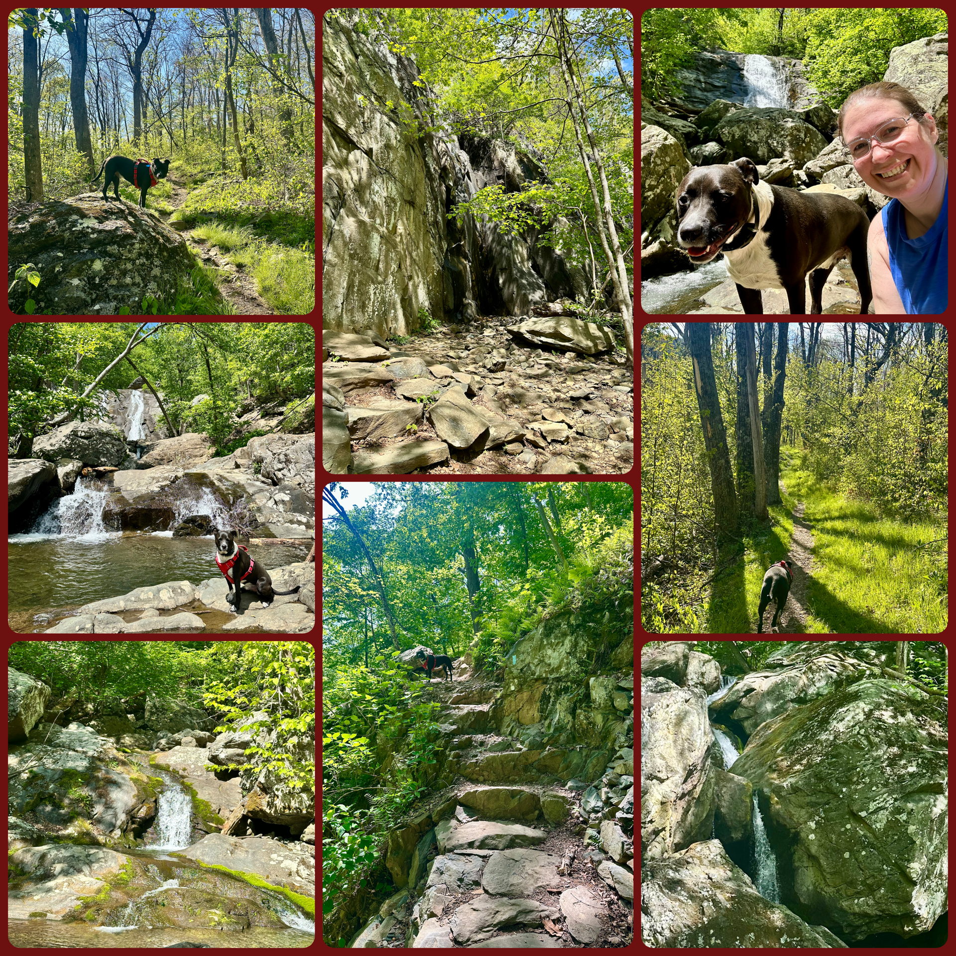 Pushing Limits (and Finding Beauty): White Oak Canyon &amp; Cedar Run Loop
