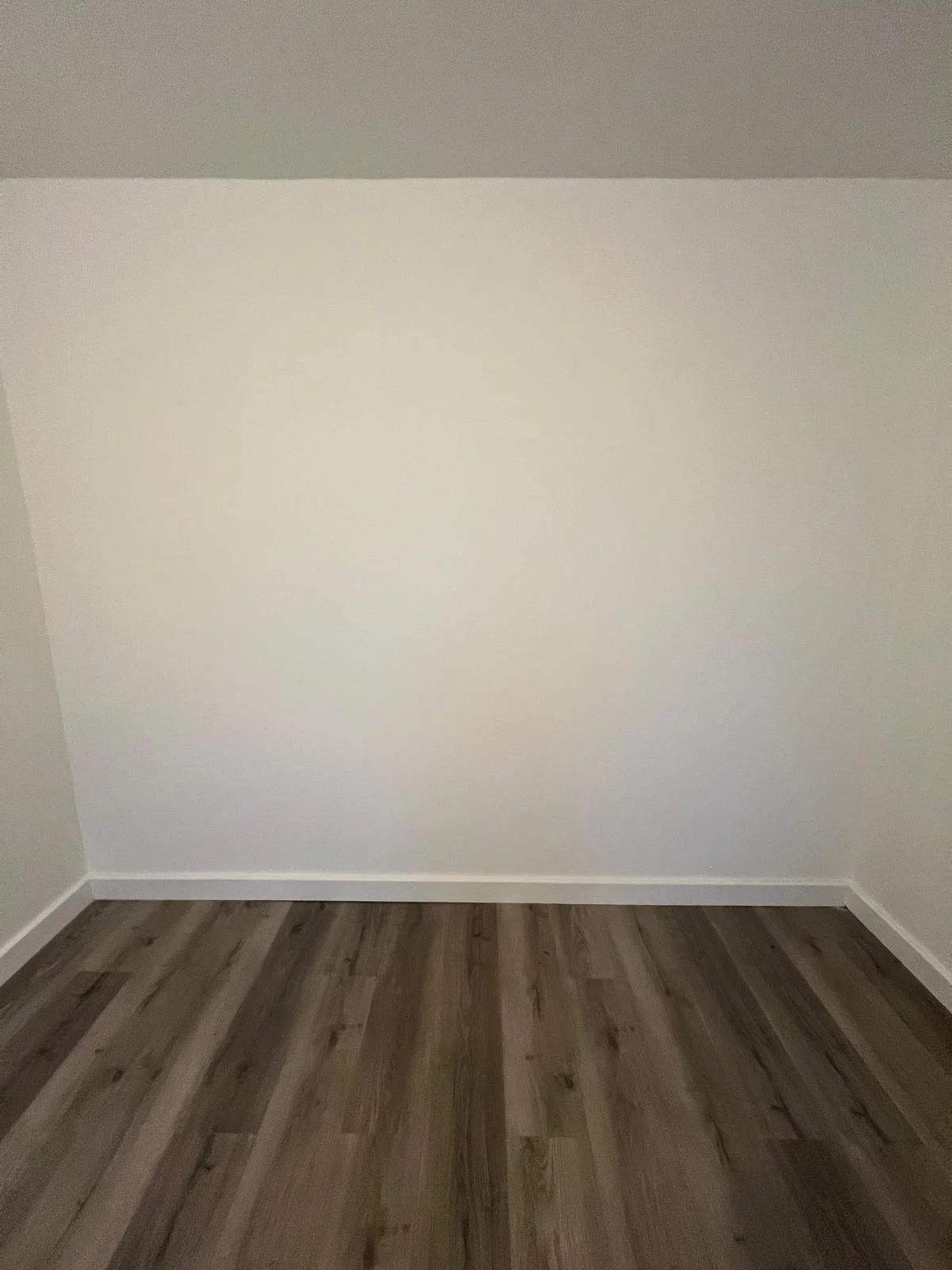 Painting and General Finishing