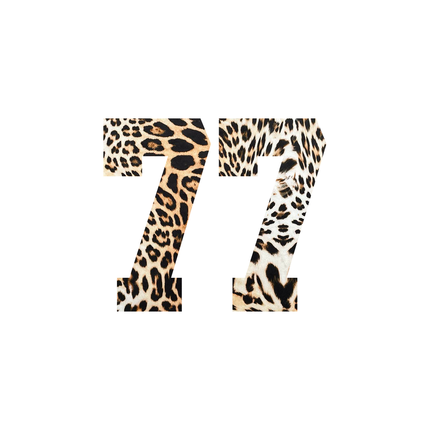 77 LEAOPARD.png