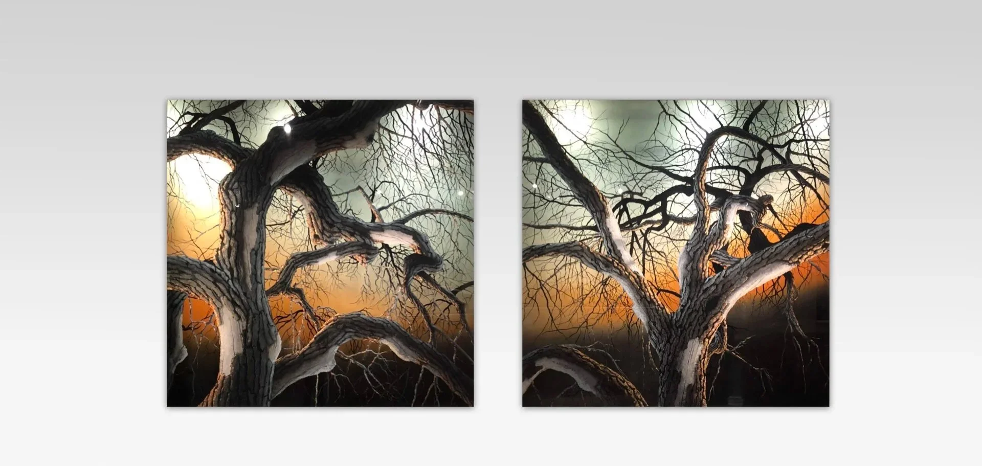 Christopher Owen Nelson