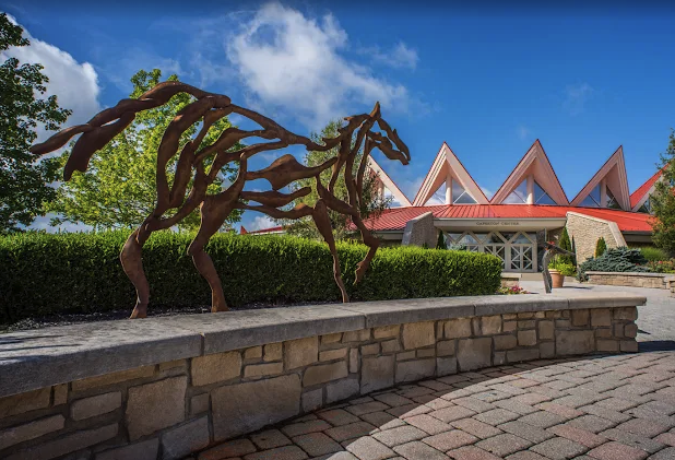 Related Video Item Thumbnail