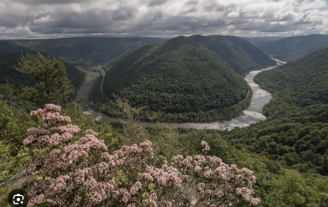 A scenic view of a river winding through a lush green valley with rolling hills and mountains in the background, and pink flowering bushes in the foreground under a cloudy sky.