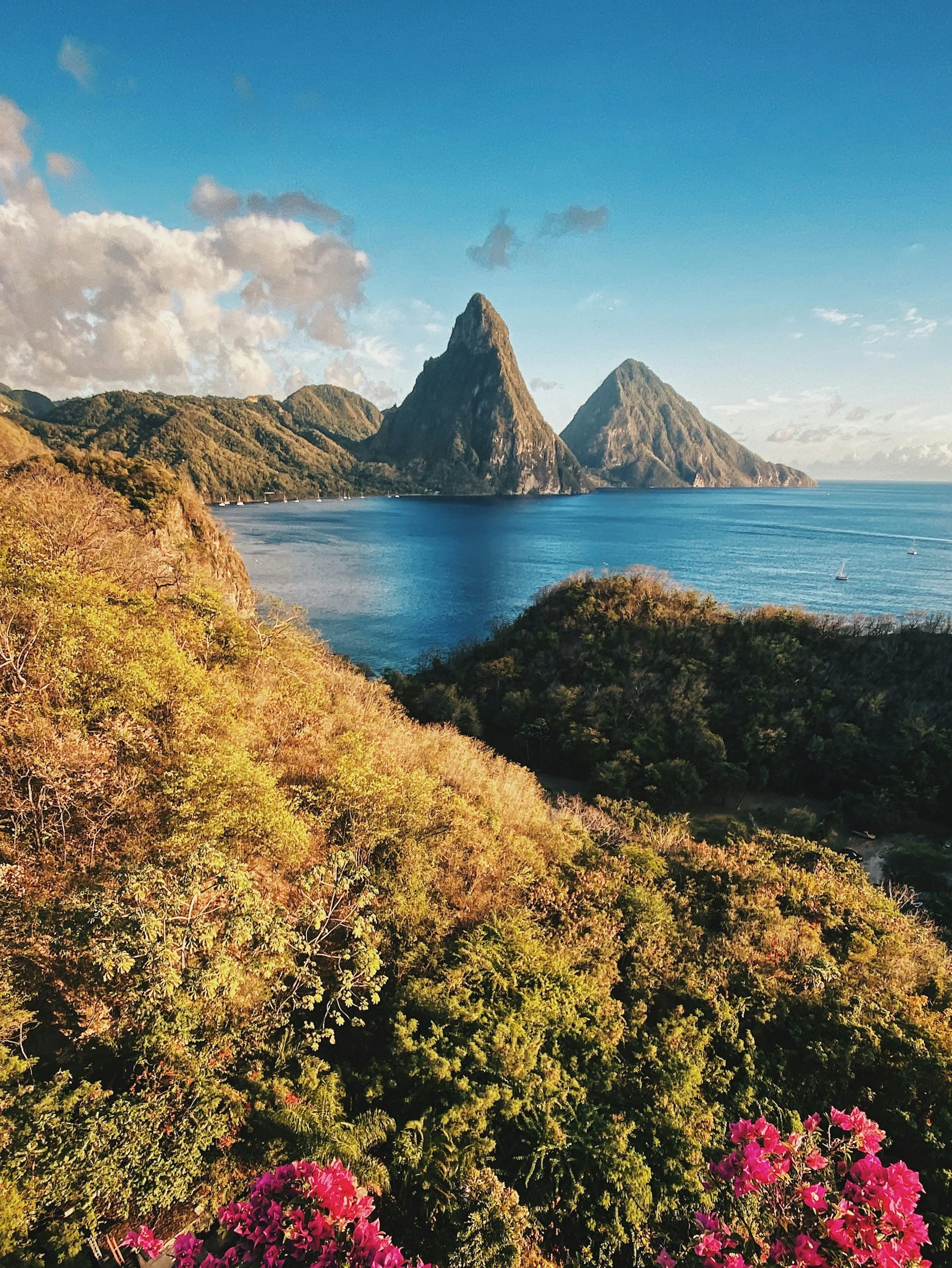 A scenic view of a coastline with lush green trees in the foreground, pink flowers at the bottom, calm blue water, and two large, pointed mountains in the background under a partly cloudy sky.
