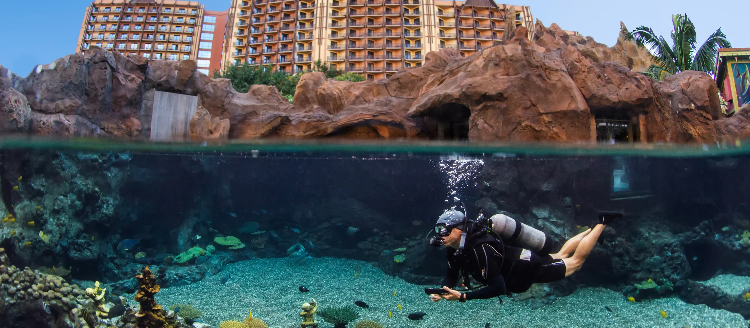 A diver with a snorkel and oxygen tank exploring an aquarium with coral and fish beneath the water surface, with a hotel and rock formation above water.