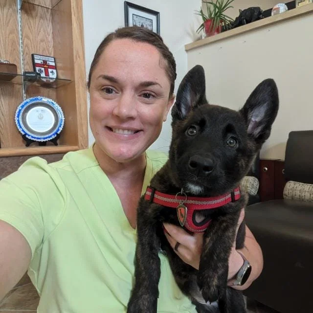 A woman smiling and taking a selfie while holding a black Belgian Malinois puppy with pointy ears, in an indoor setting with shelves, framed pictures, and decorative items in the background.