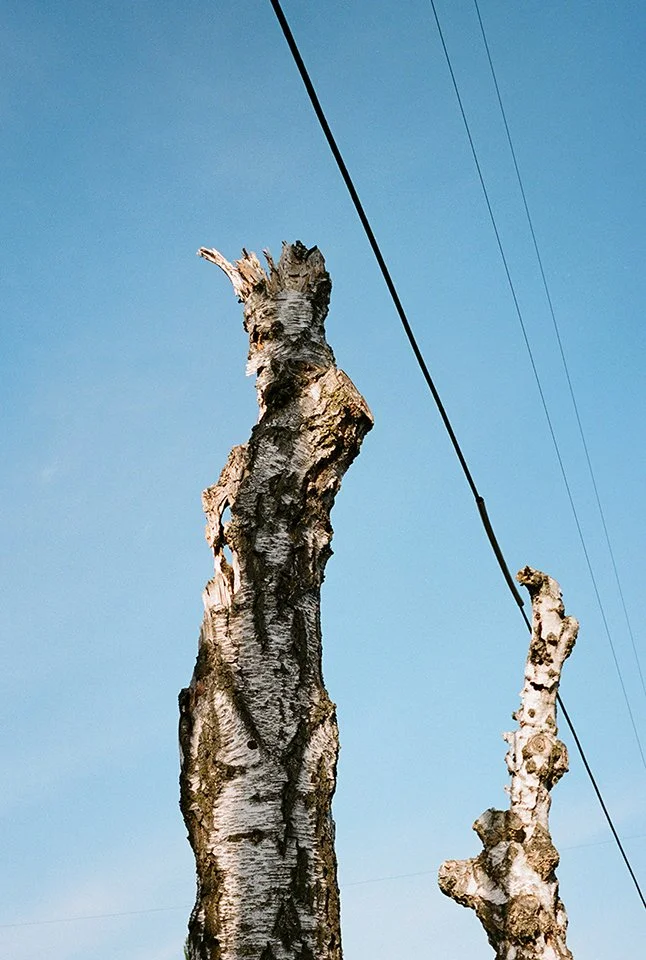 35a.jpg