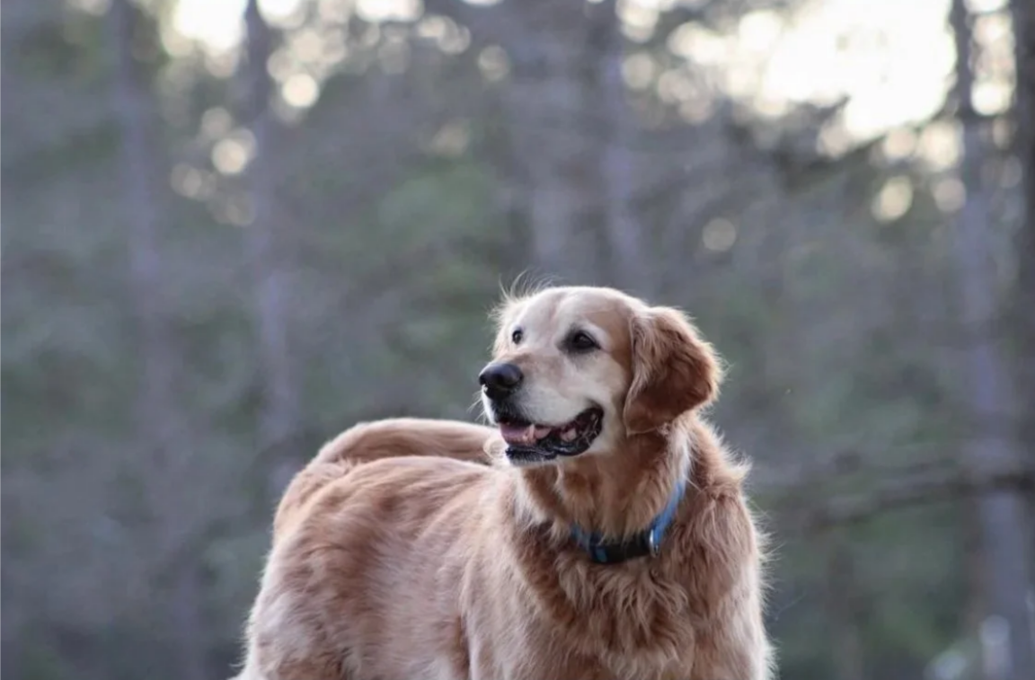 Screenshot 2026-03-07 101319.png