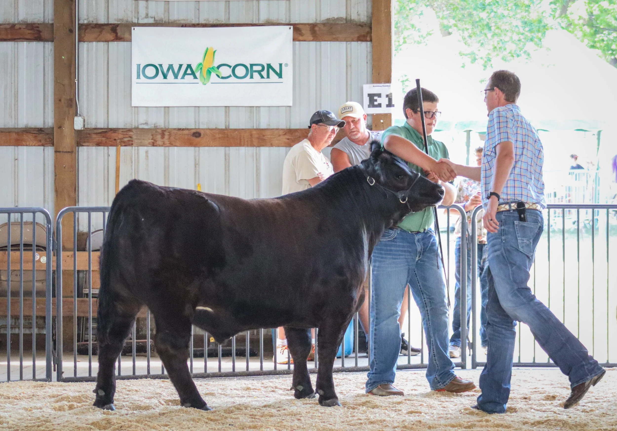 Market Beef #34.jpg