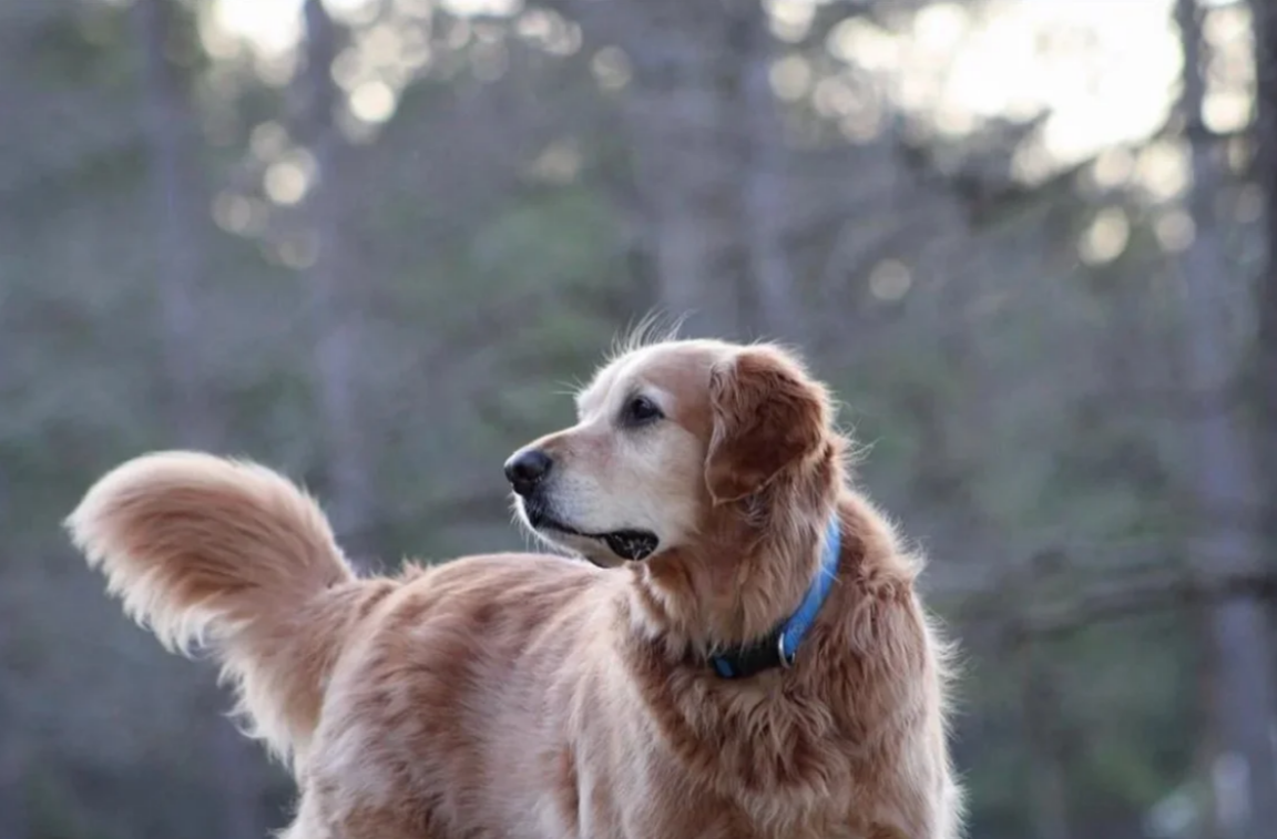 Screenshot 2026-03-07 101441.png