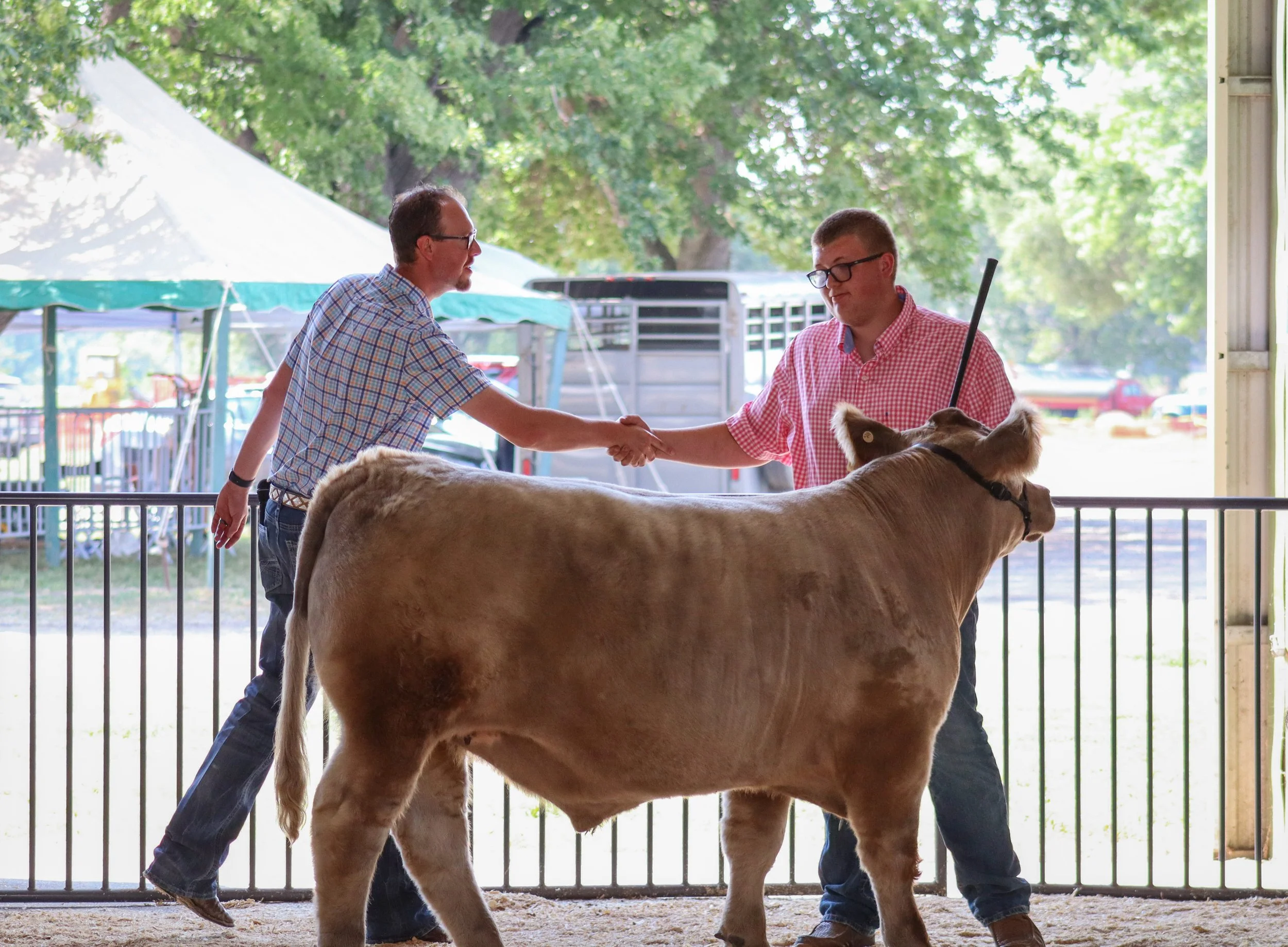 Market Beef #28.JPEG