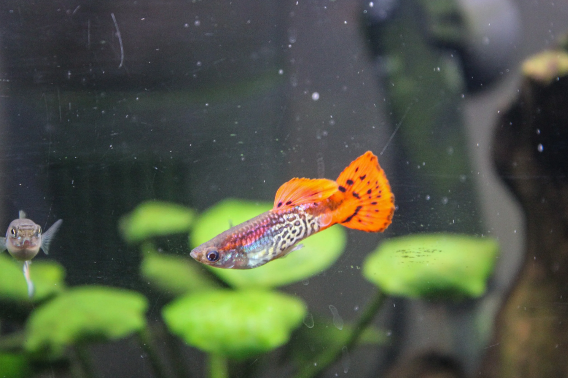 Screenshot 2026-03-07 115102.png