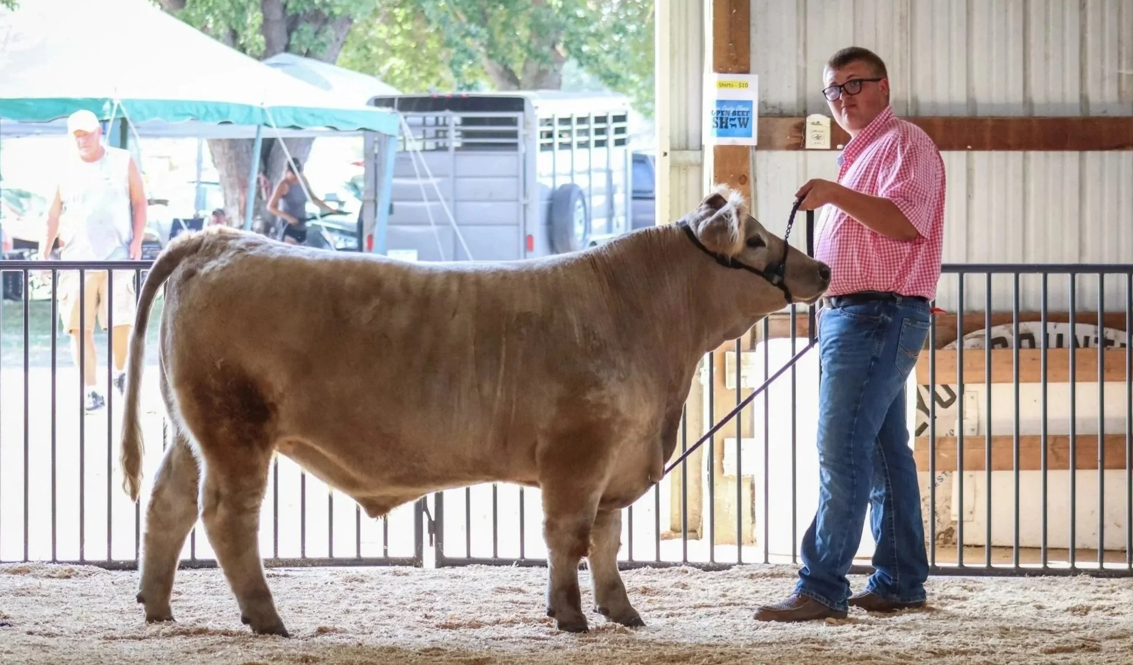 Market Beef