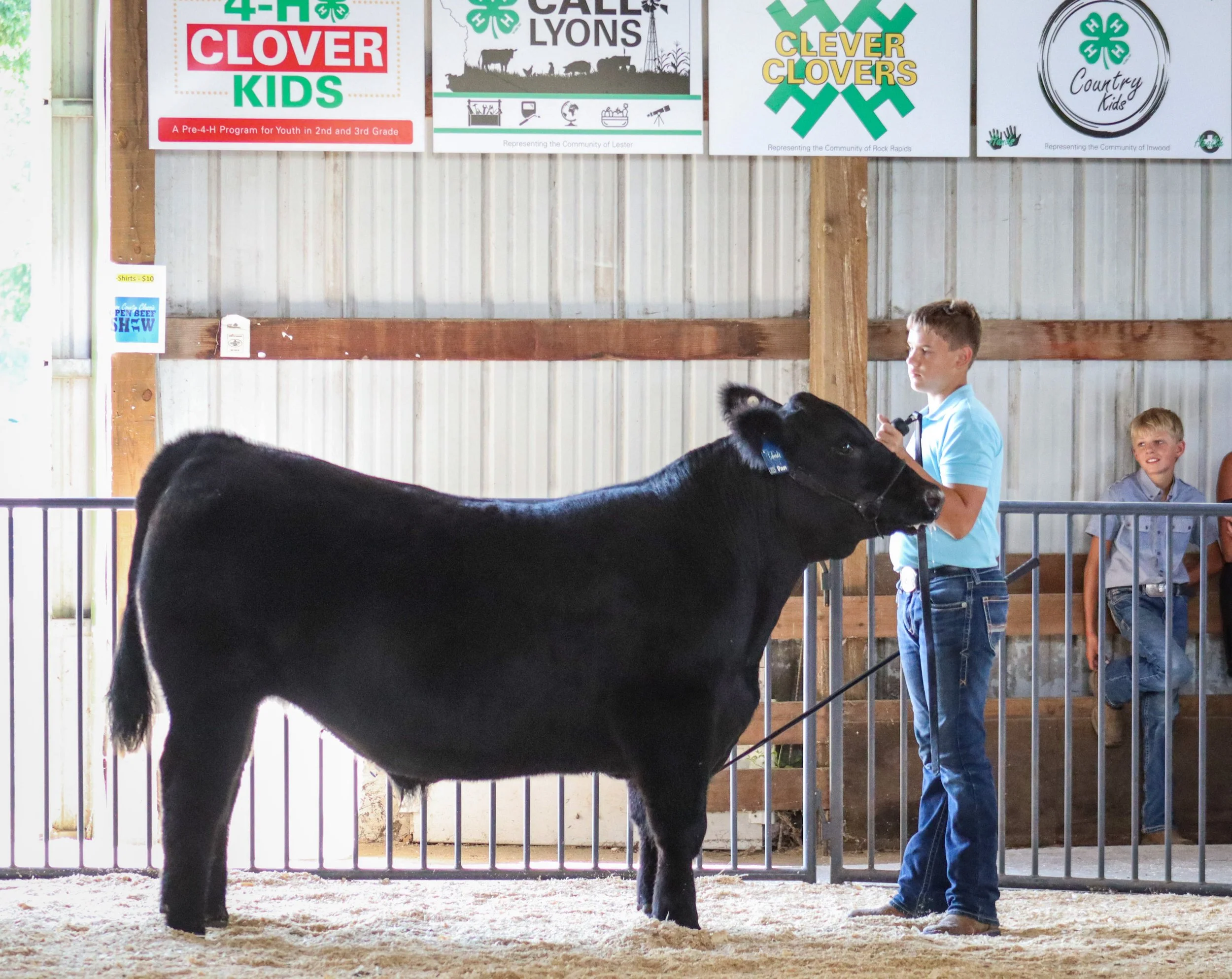 Market Beef #29.jpg