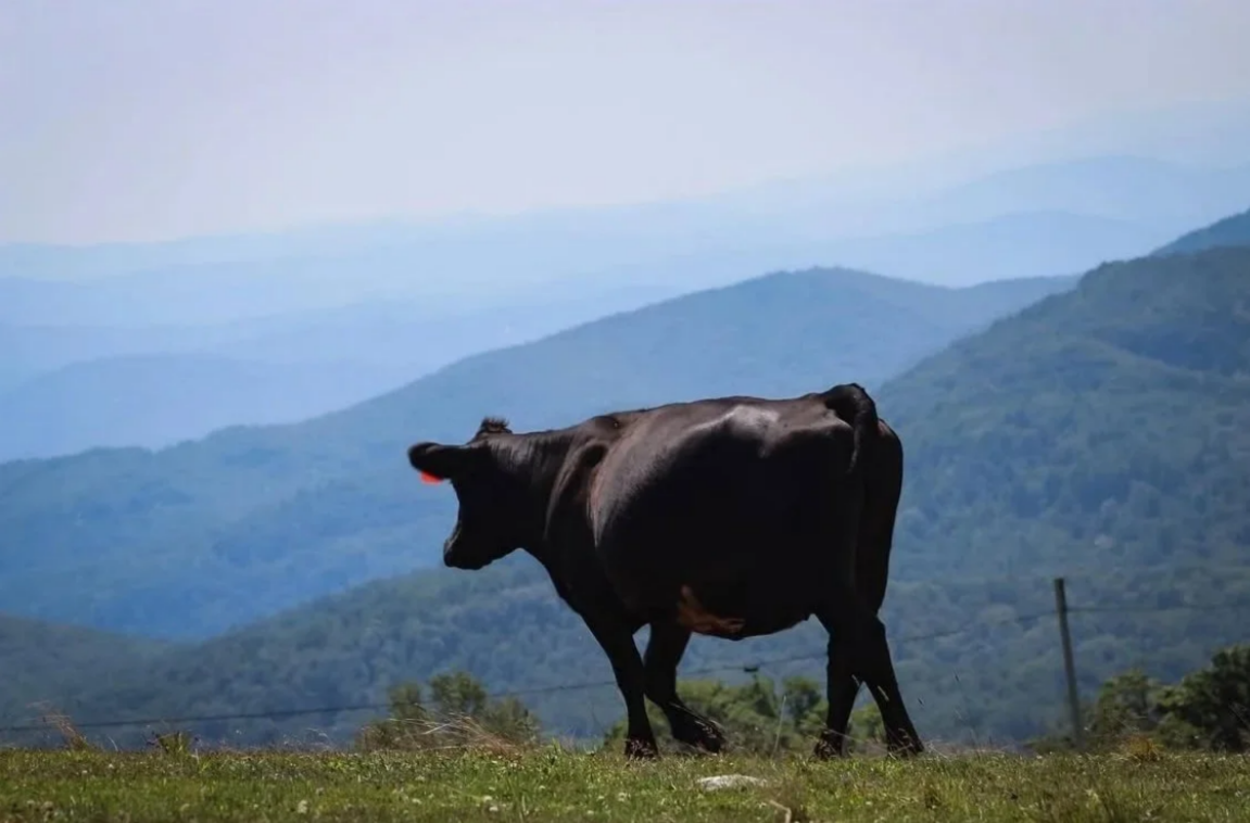 Screenshot 2026-03-07 100645.png