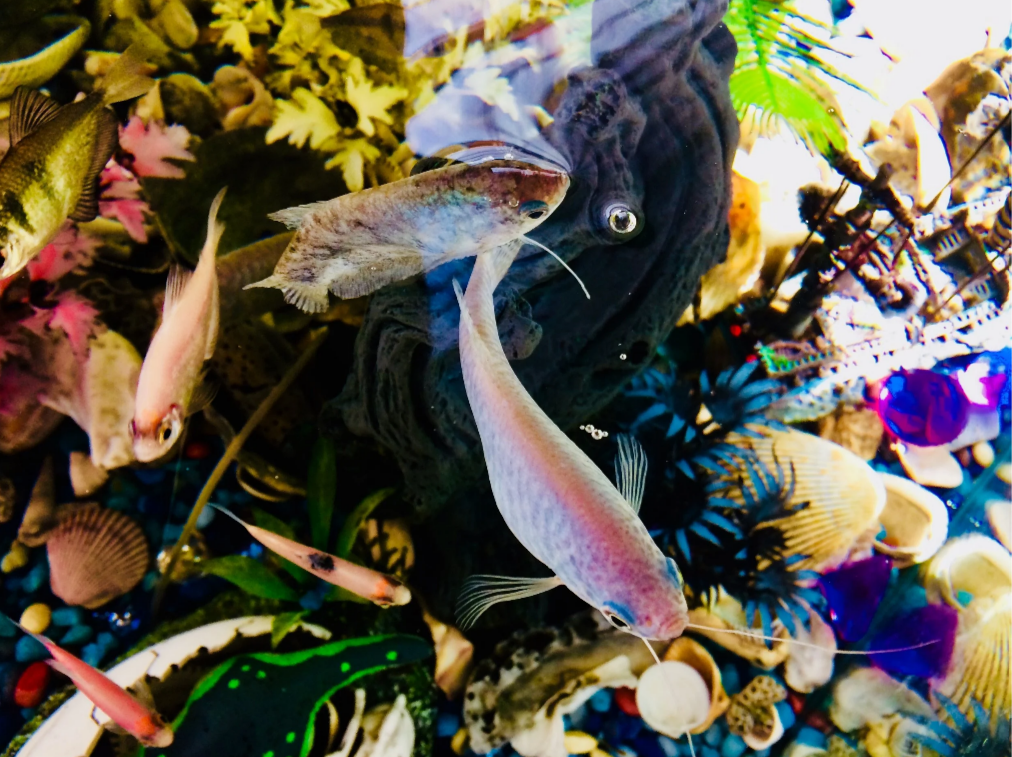 Screenshot 2026-03-07 114703.png