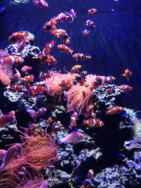 Screenshot 2026-03-07 114610.png