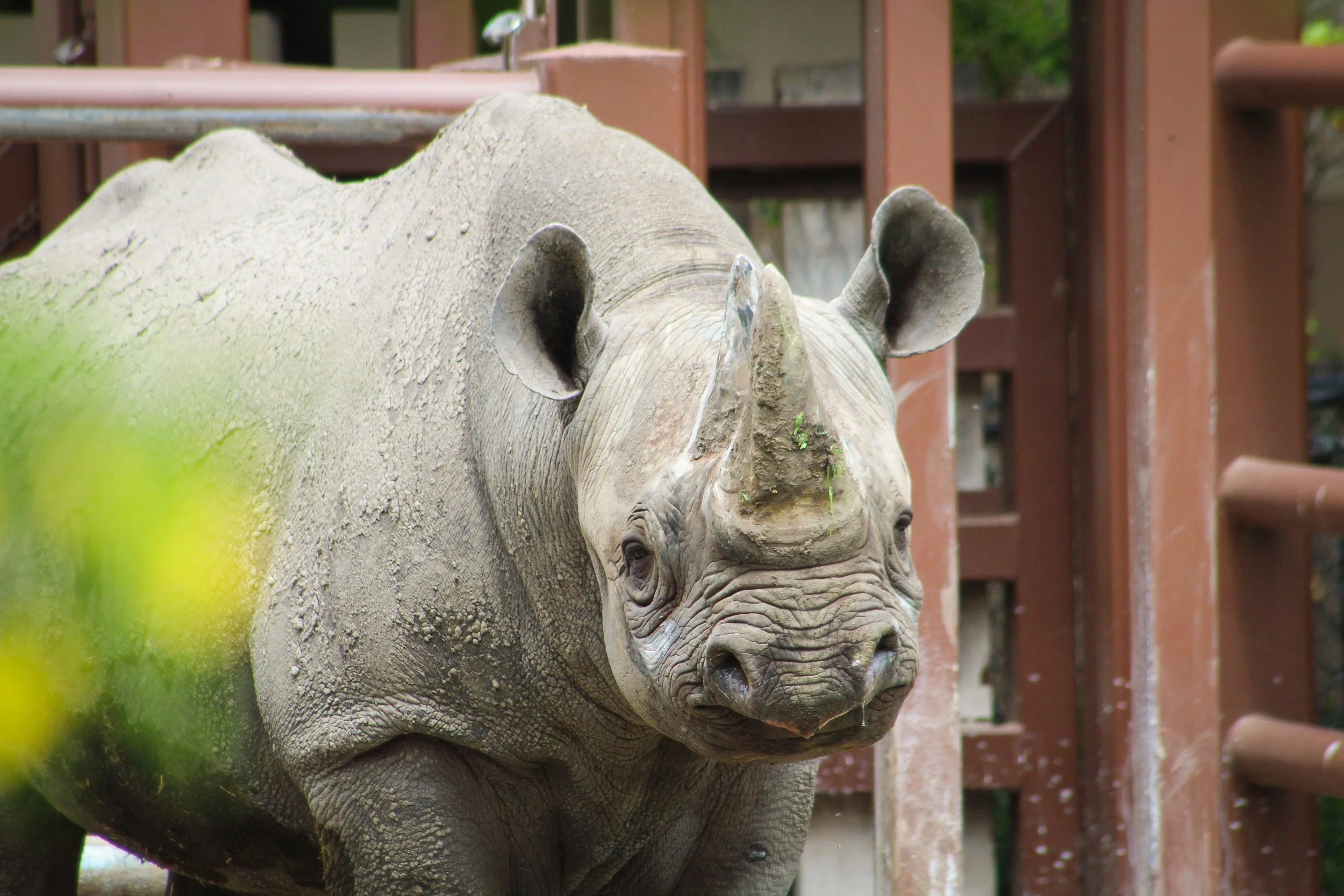 The Kindness of Giants