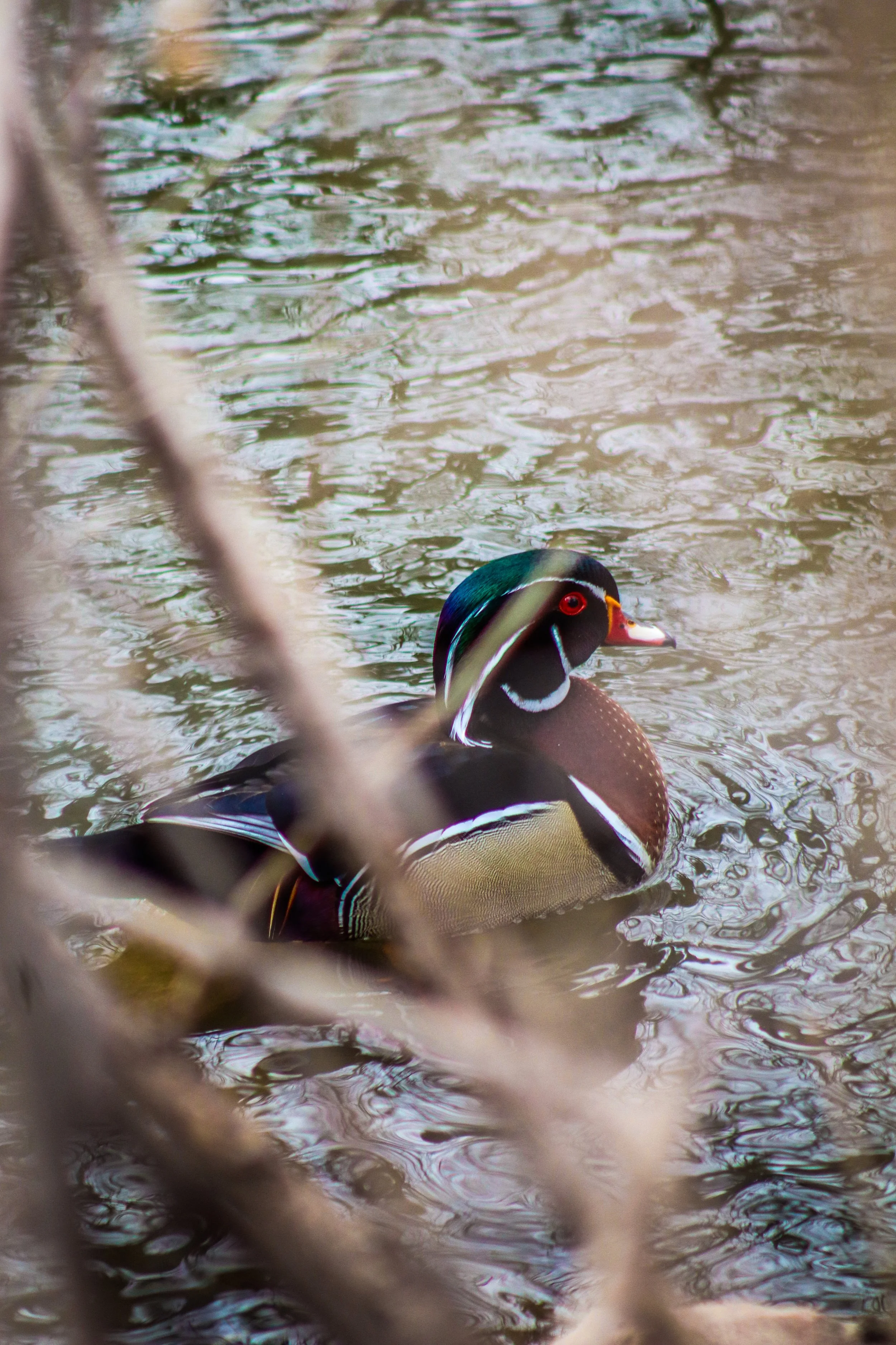 Watercolor On Water.JPEG