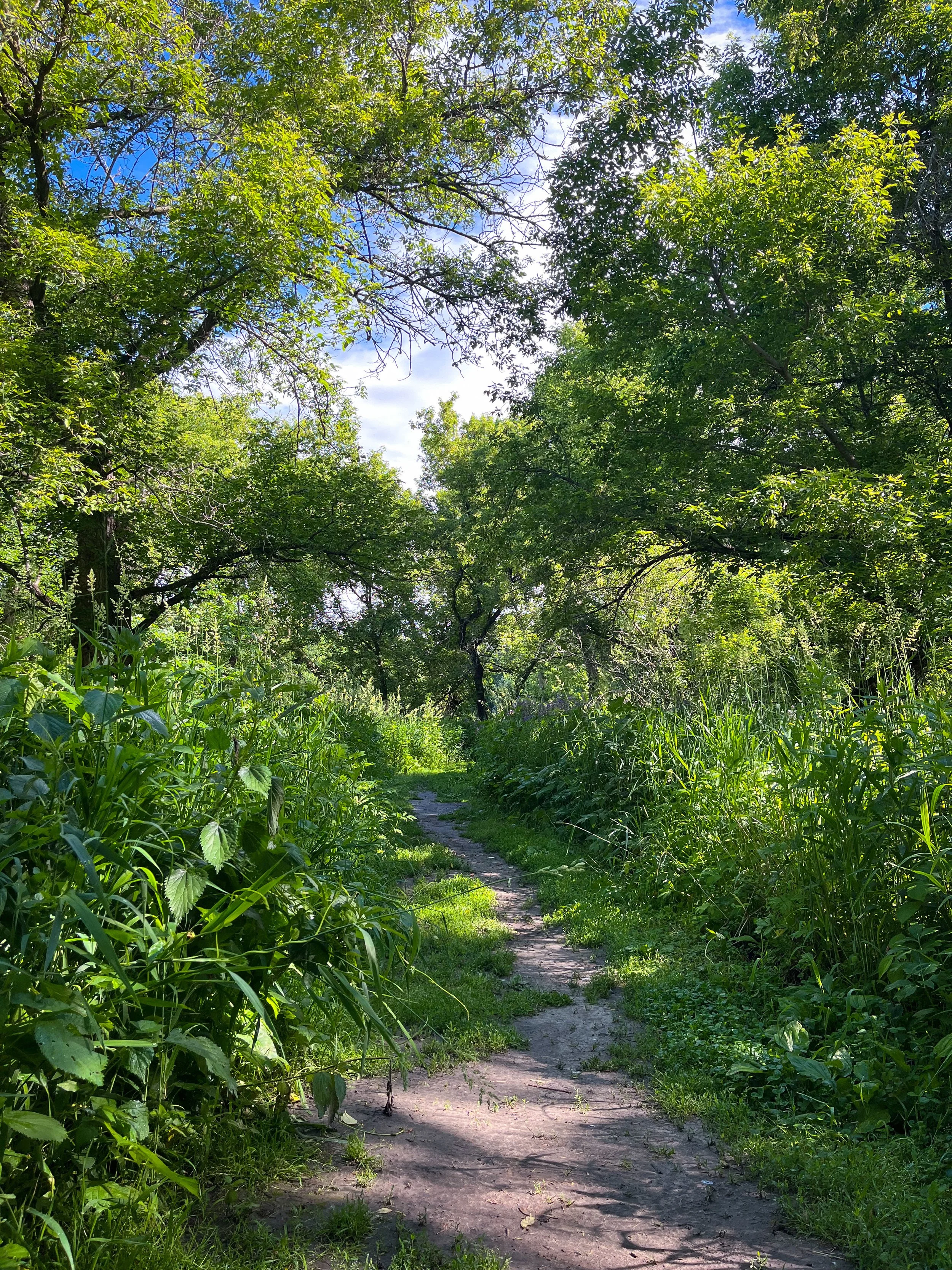 Hidden Path, SD.JPEG