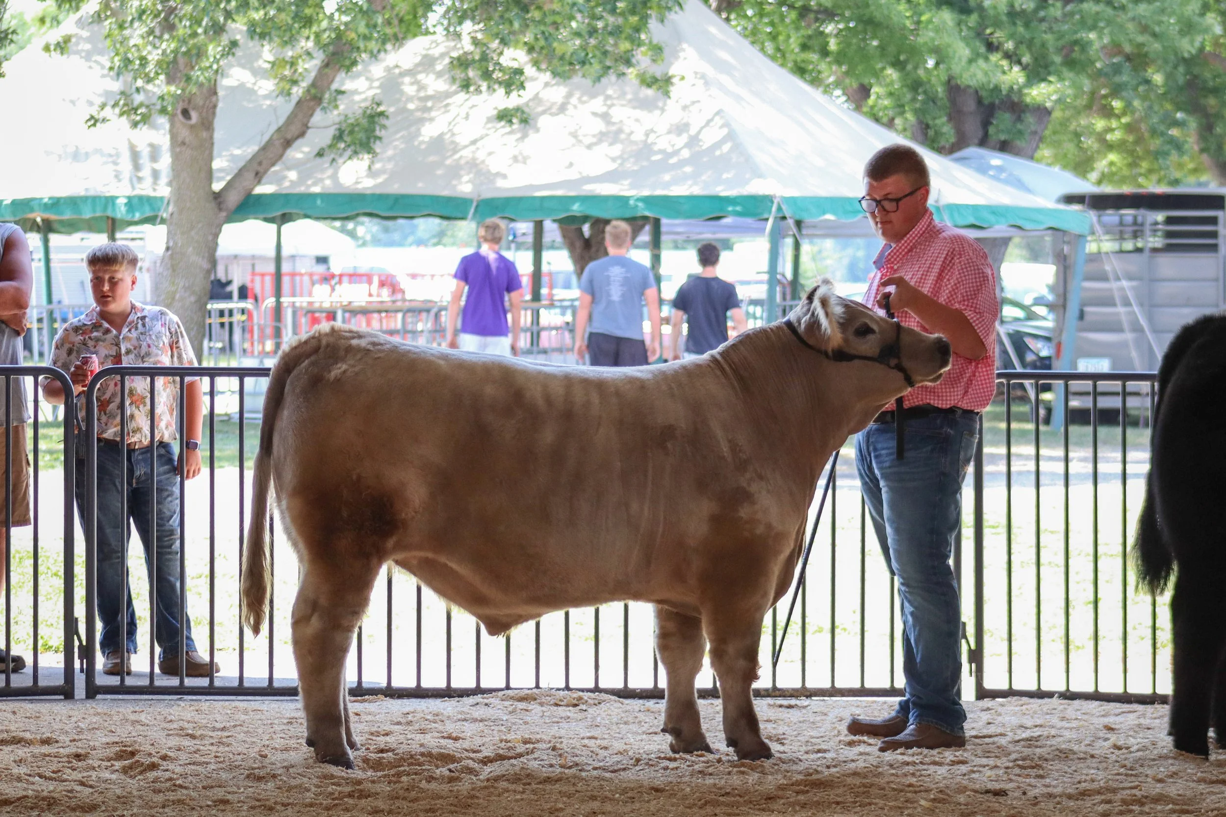 Market Beef #22.jpg