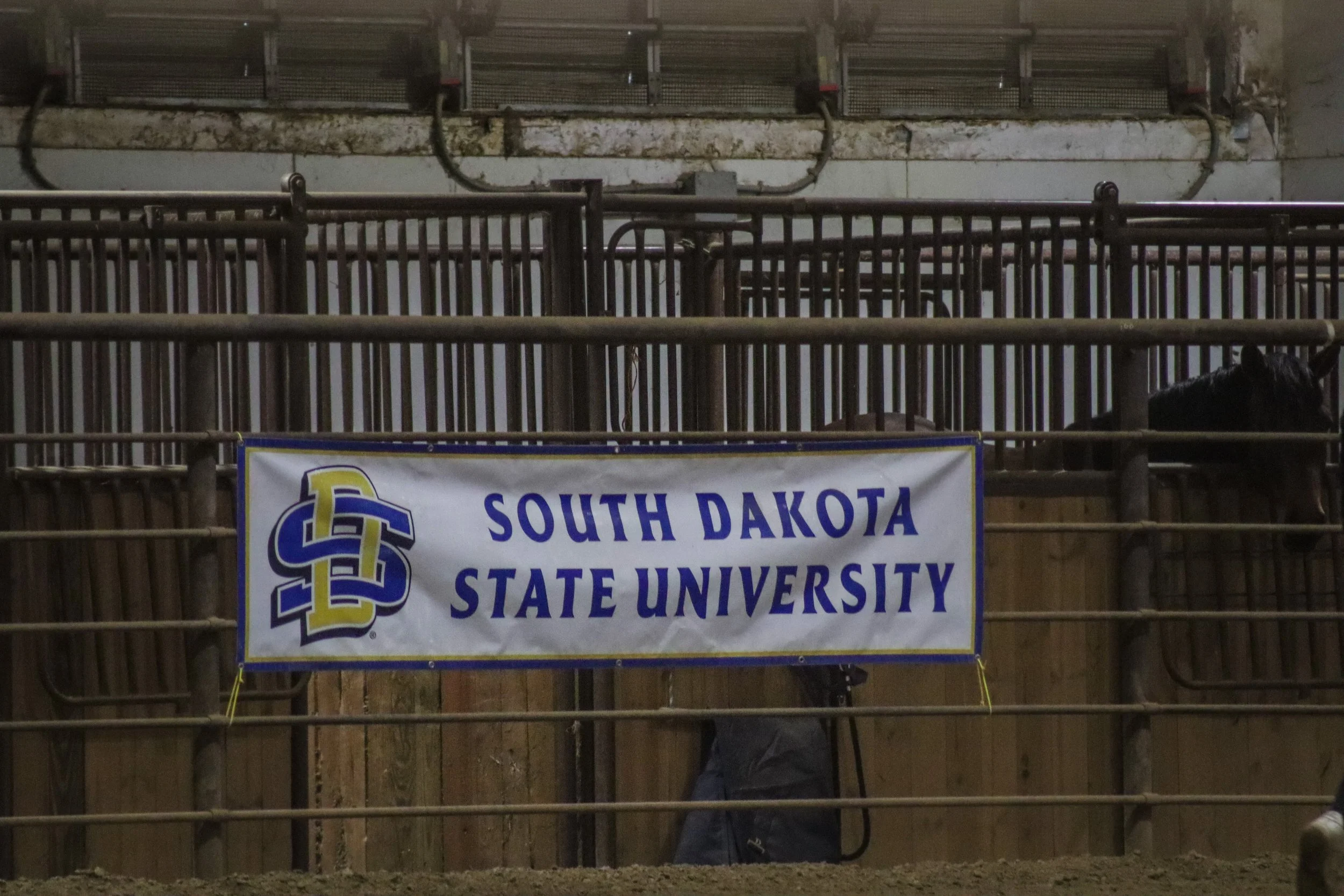 South Dakota State University VS Delaware State