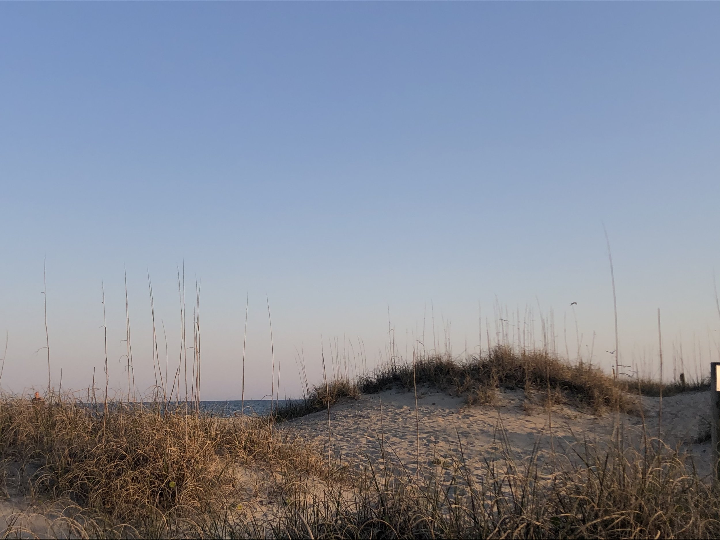 Sand Dunes, NC.jpg