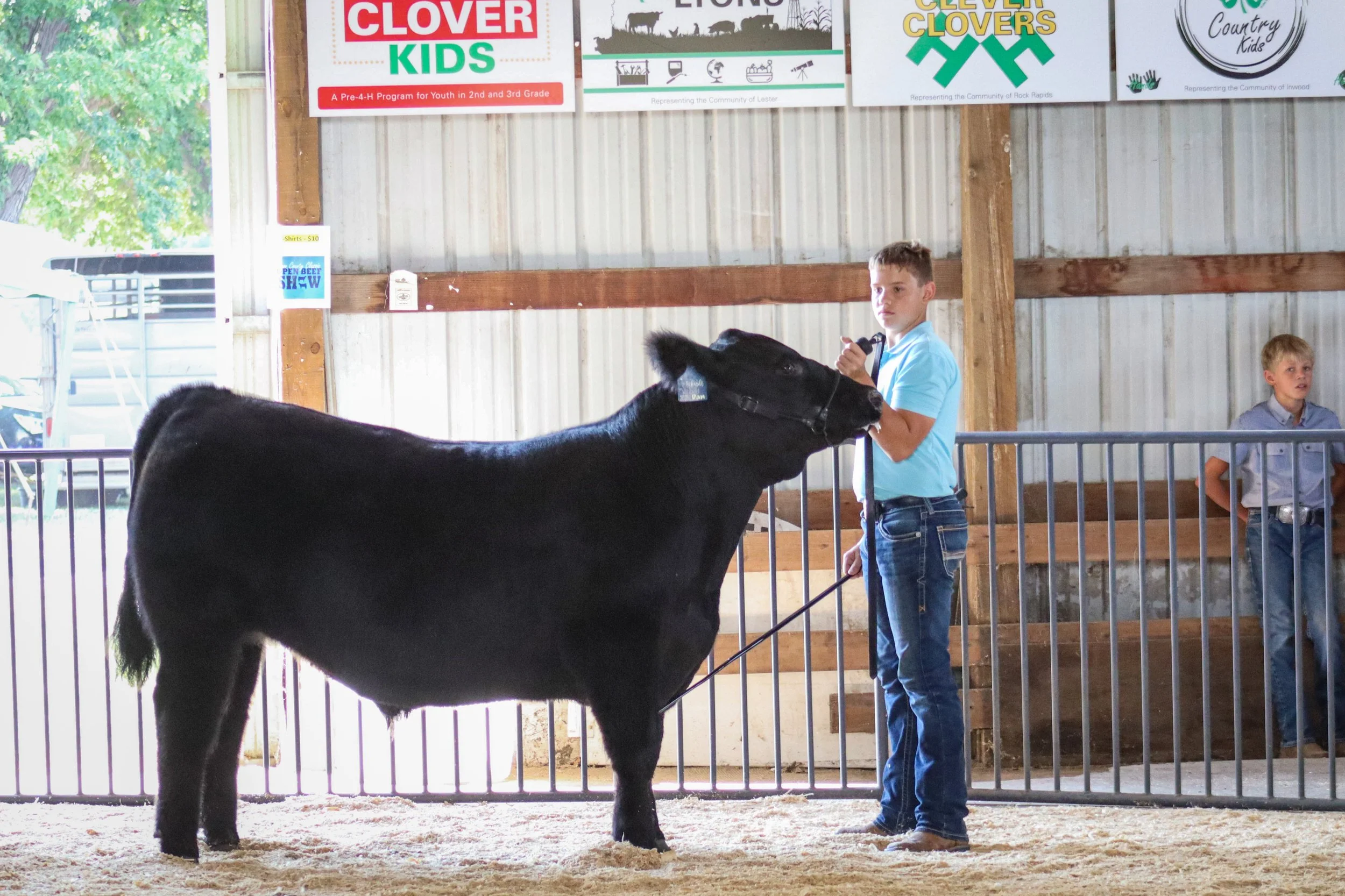 Market Beef #33.jpg