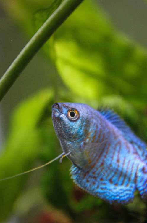 Screenshot 2026-03-07 114741.png