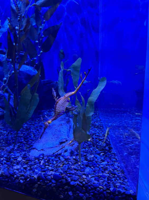 Screenshot 2026-03-07 114635.png