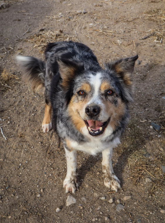 Screenshot 2026-03-07 101725.png