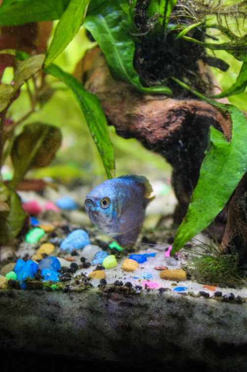 Screenshot 2026-03-07 114527.png