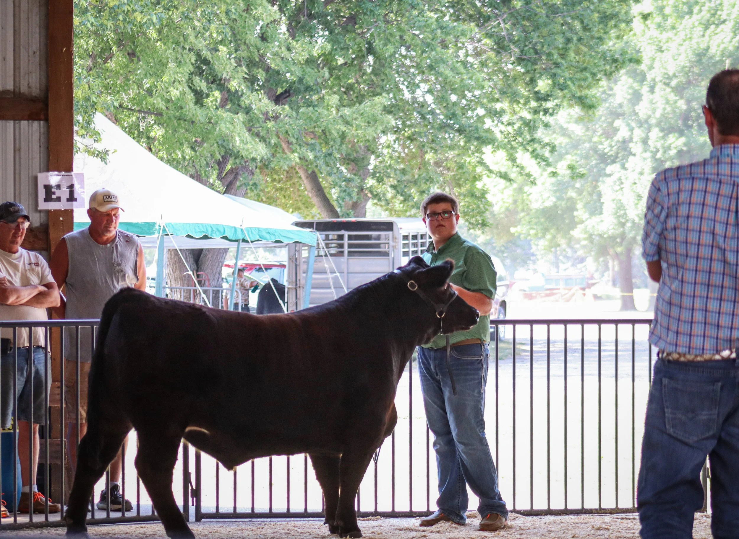 Market Beef #17.jpg