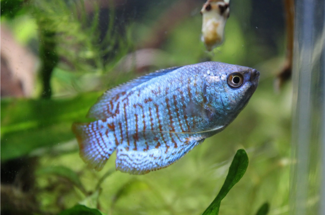 Screenshot 2026-03-07 114907.png