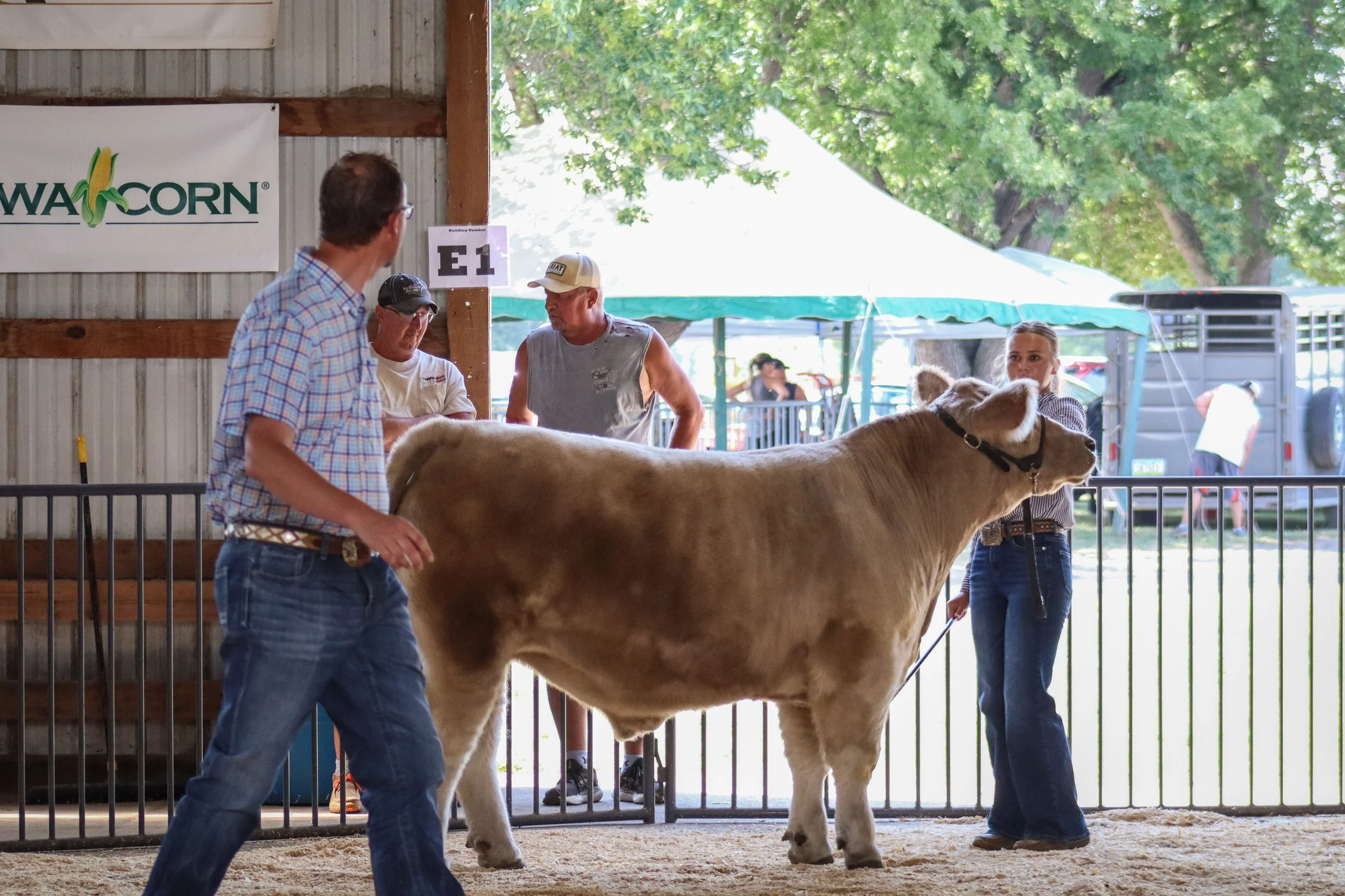 Market Beef #16.JPEG