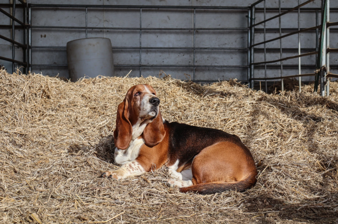 Screenshot 2026-03-07 101110.png