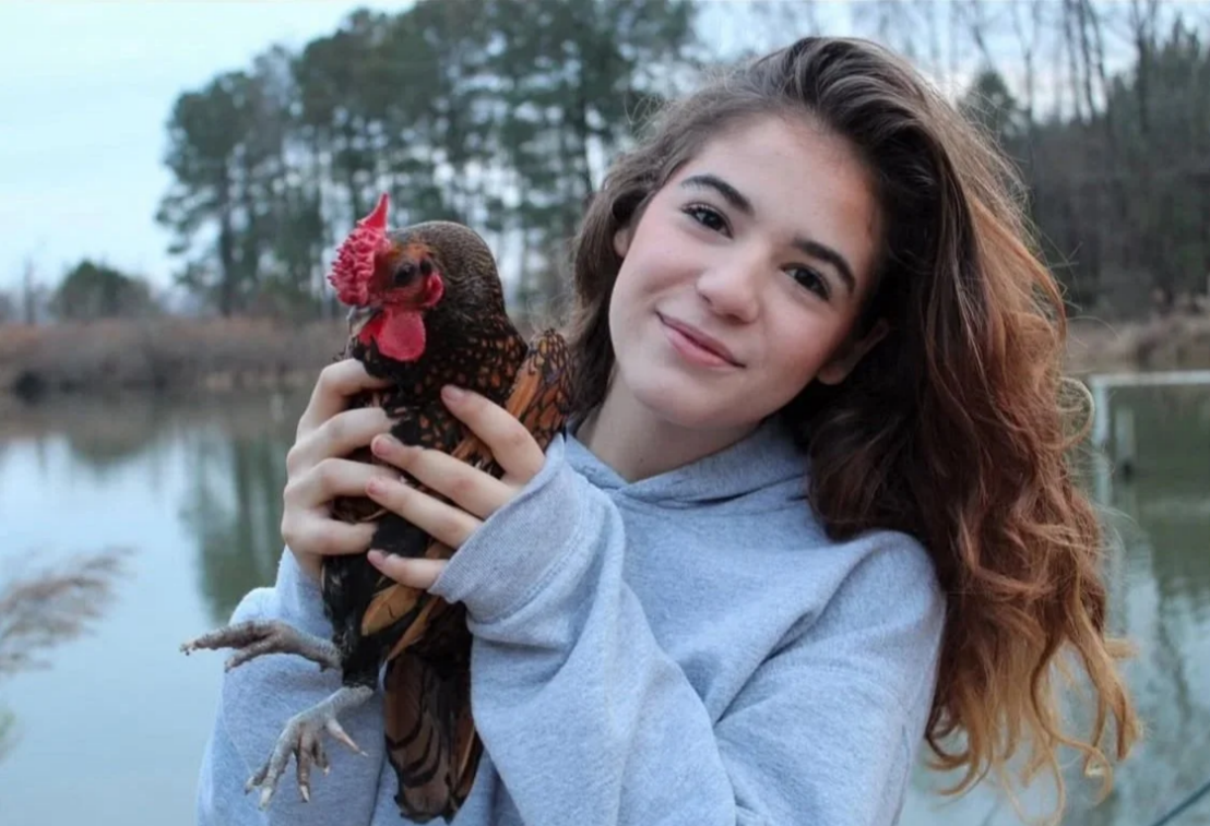 Screenshot 2026-03-07 113211.png