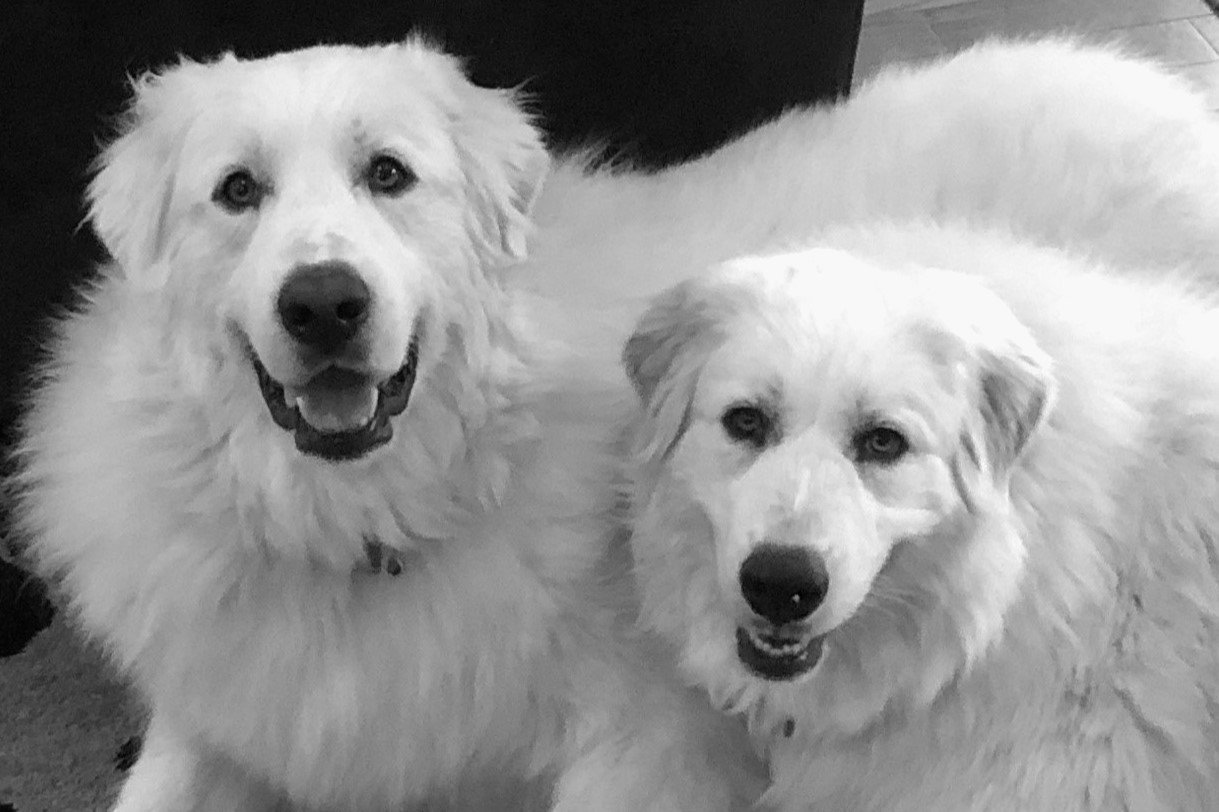 Becca & Samson