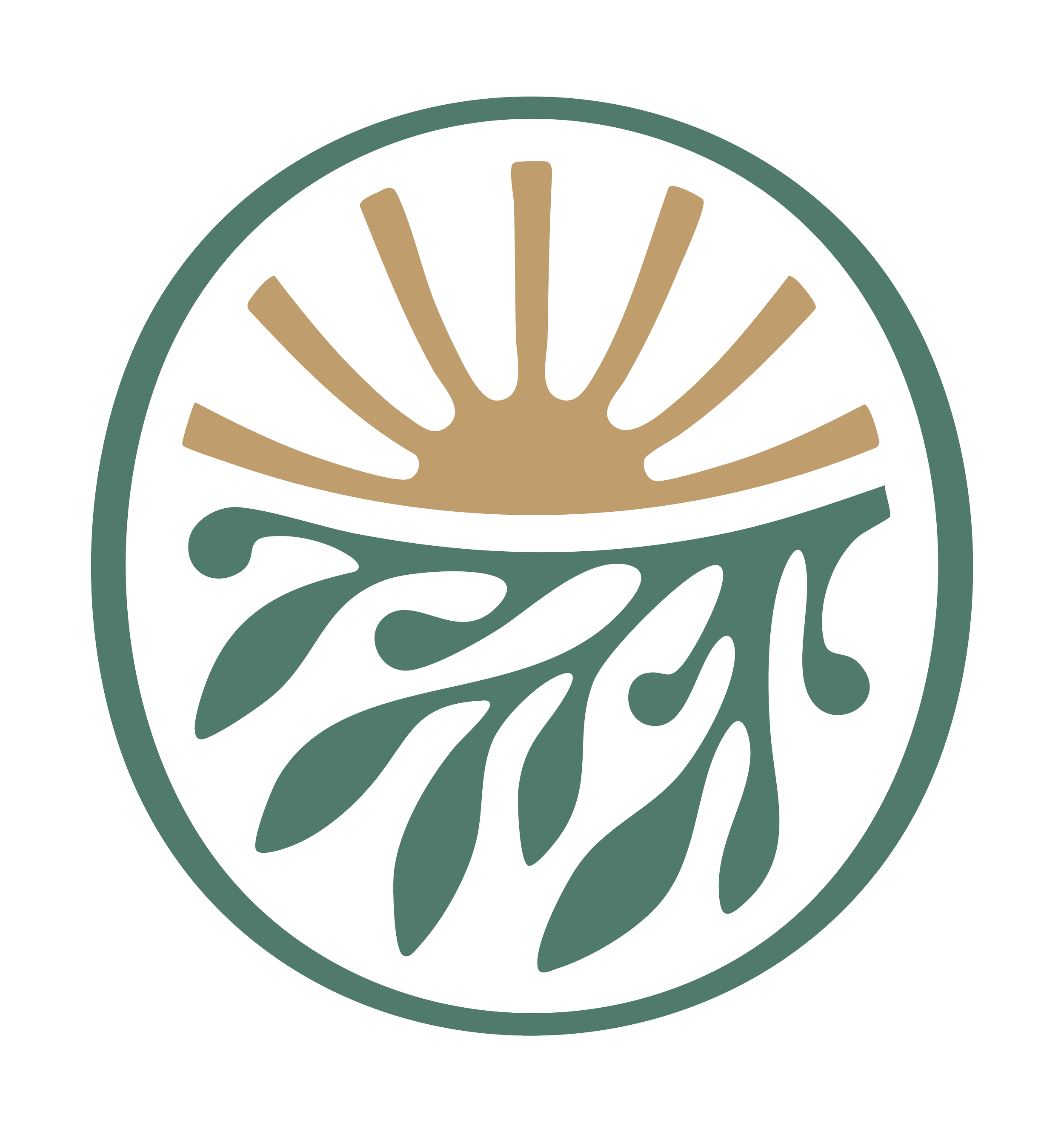 A circular logo featuring a stylized sun at the top and tree branches with leaves below, enclosed by a thin border. Bush to Beach Nursing. Private Nursing Services.