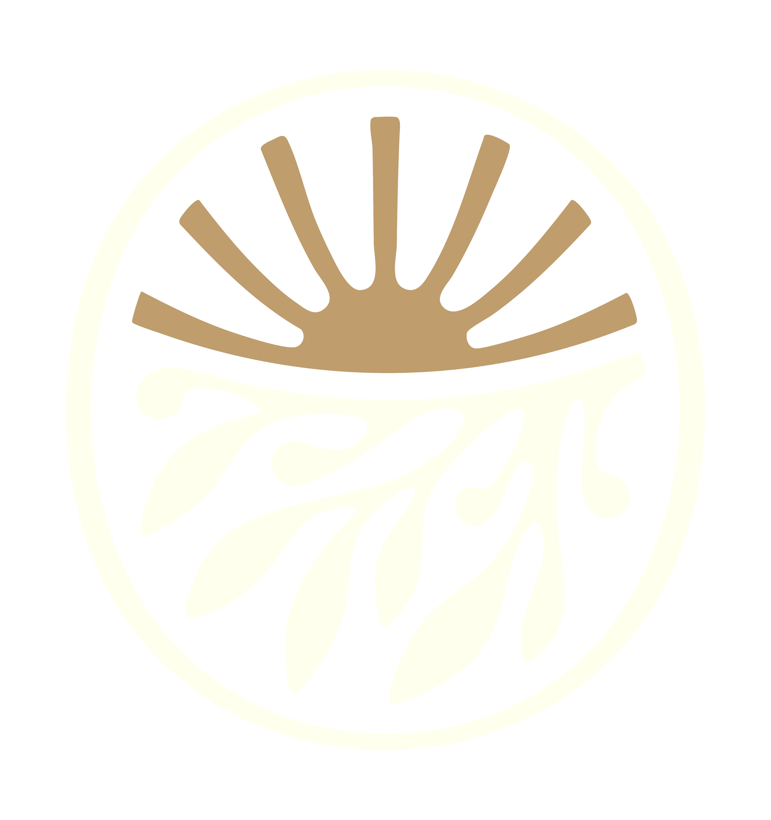 A circular logo with stylized tree roots and branches, with a brown sunburst at the top and a black background. Bush to Beach Nursing. Private Nursing Services.
