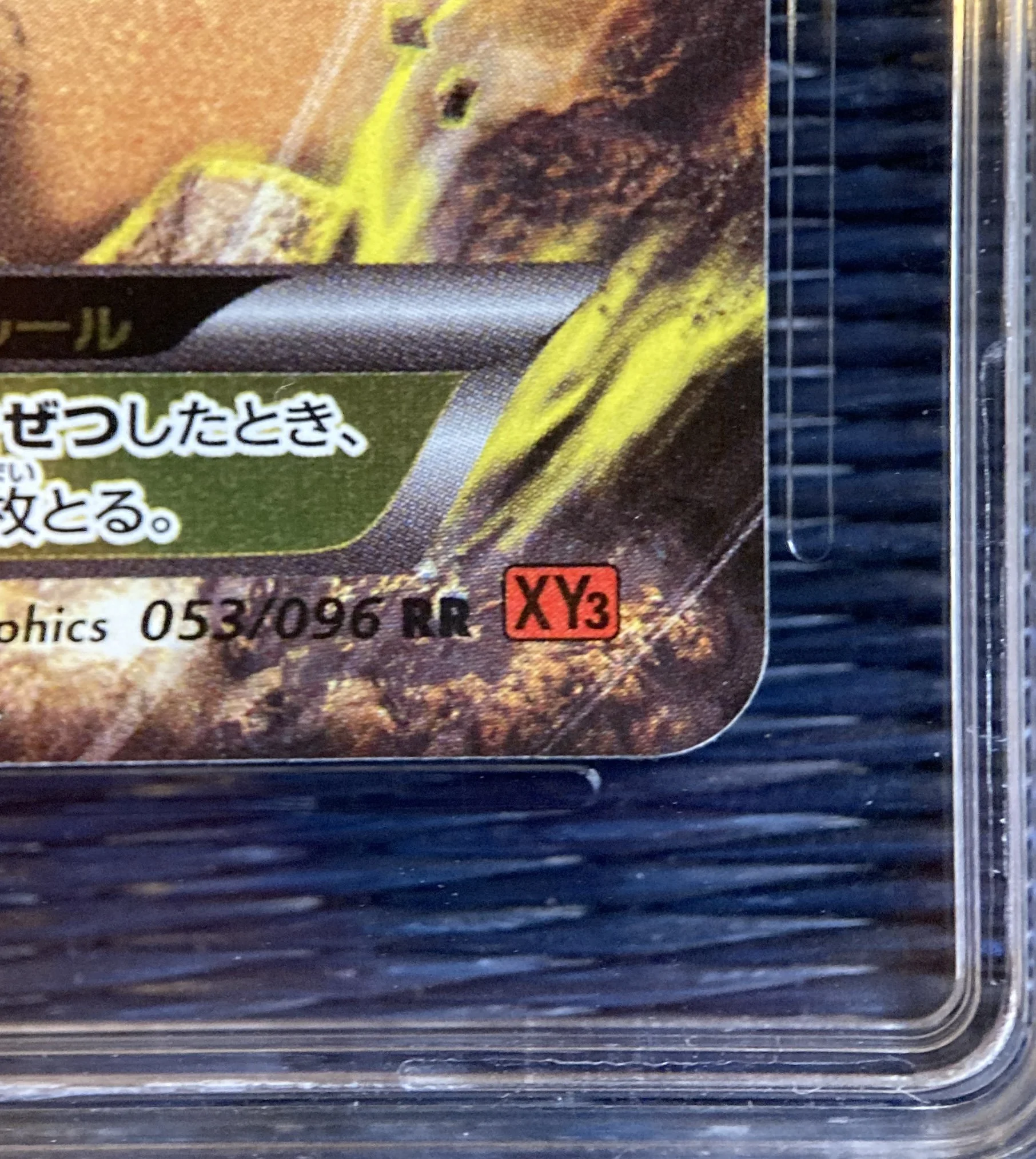 Photo 2026-03-13, 16 31 37.jpg